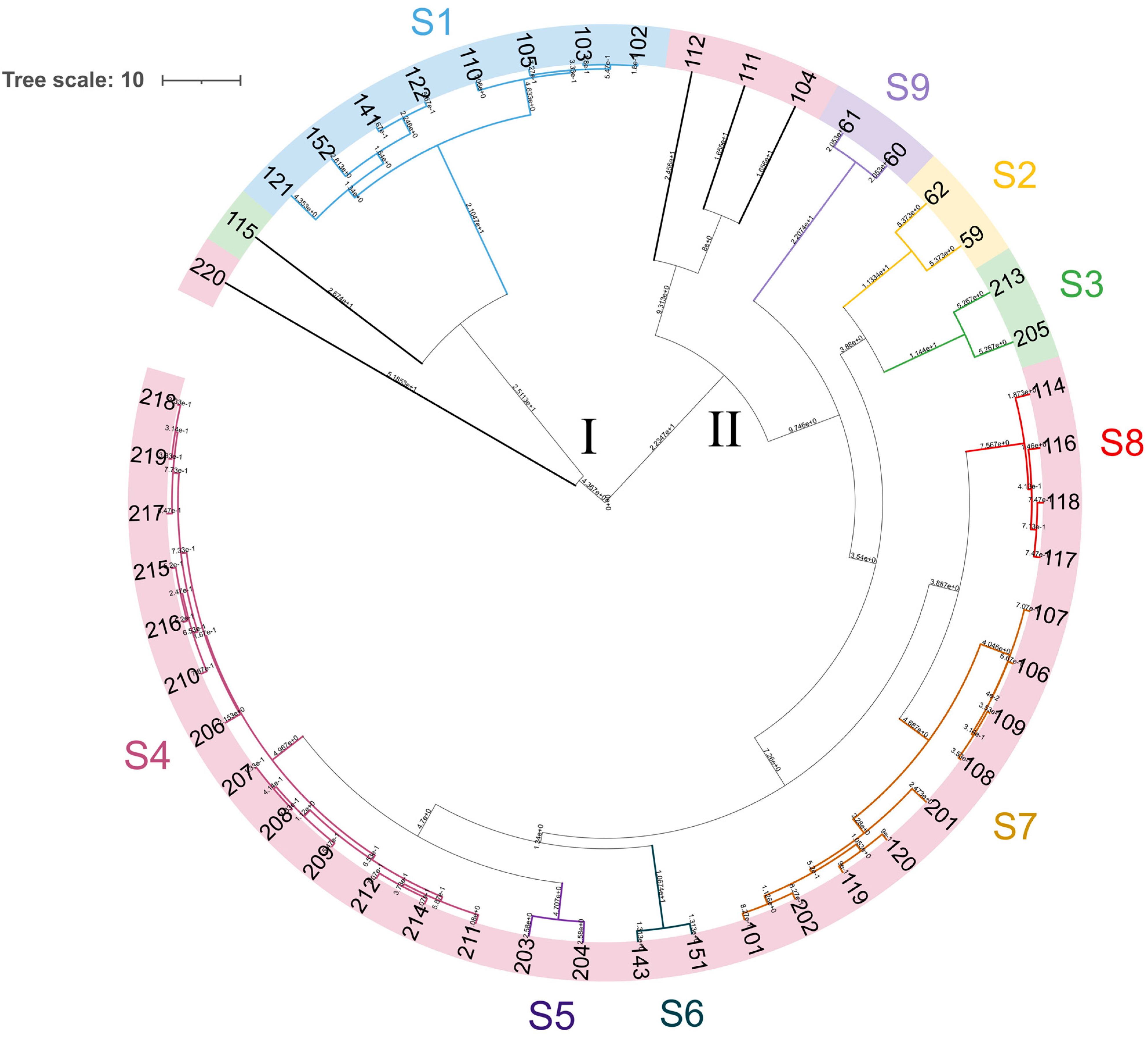 Microorganisms 11 02138 g005
