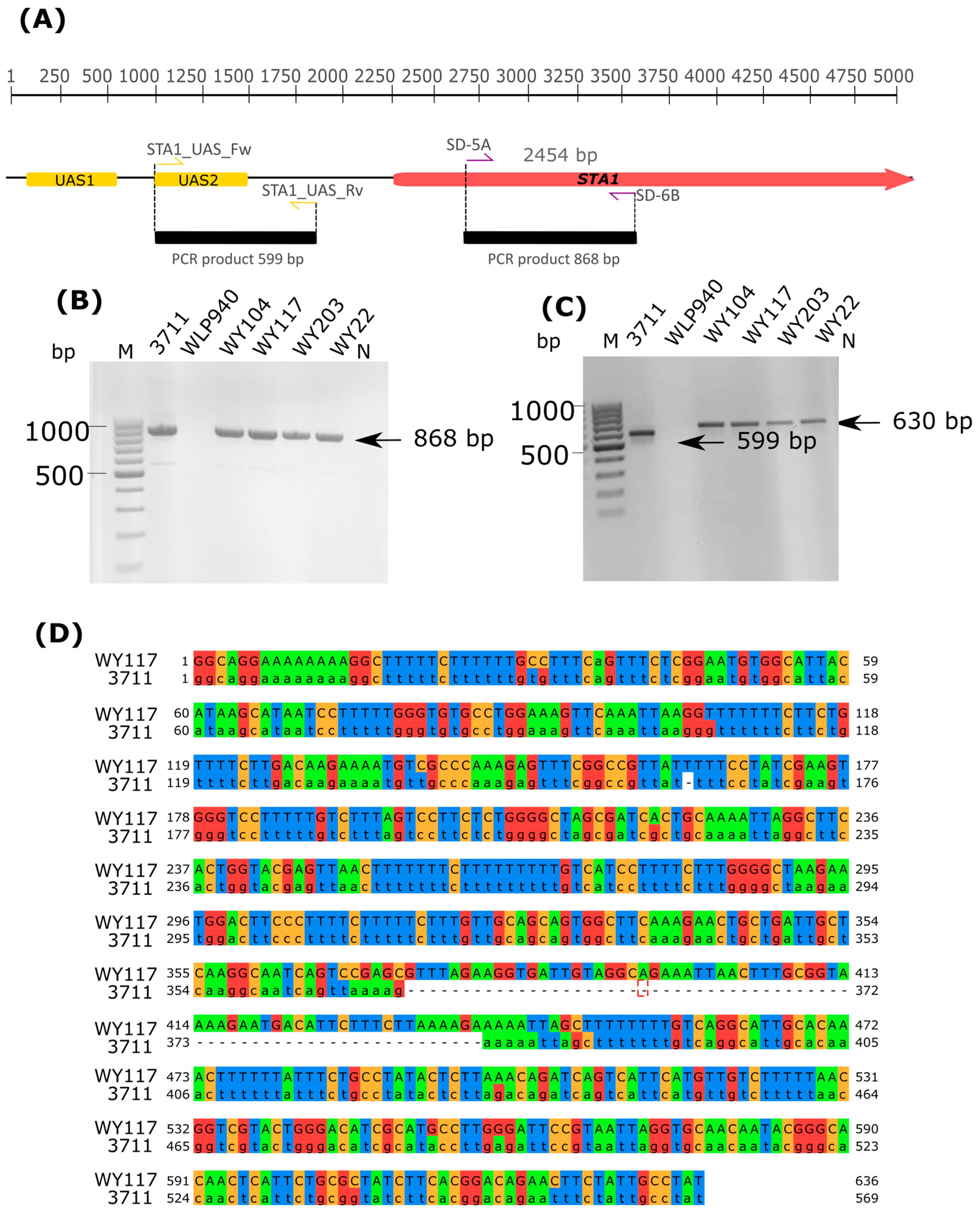 Microorganisms 11 02138 g009