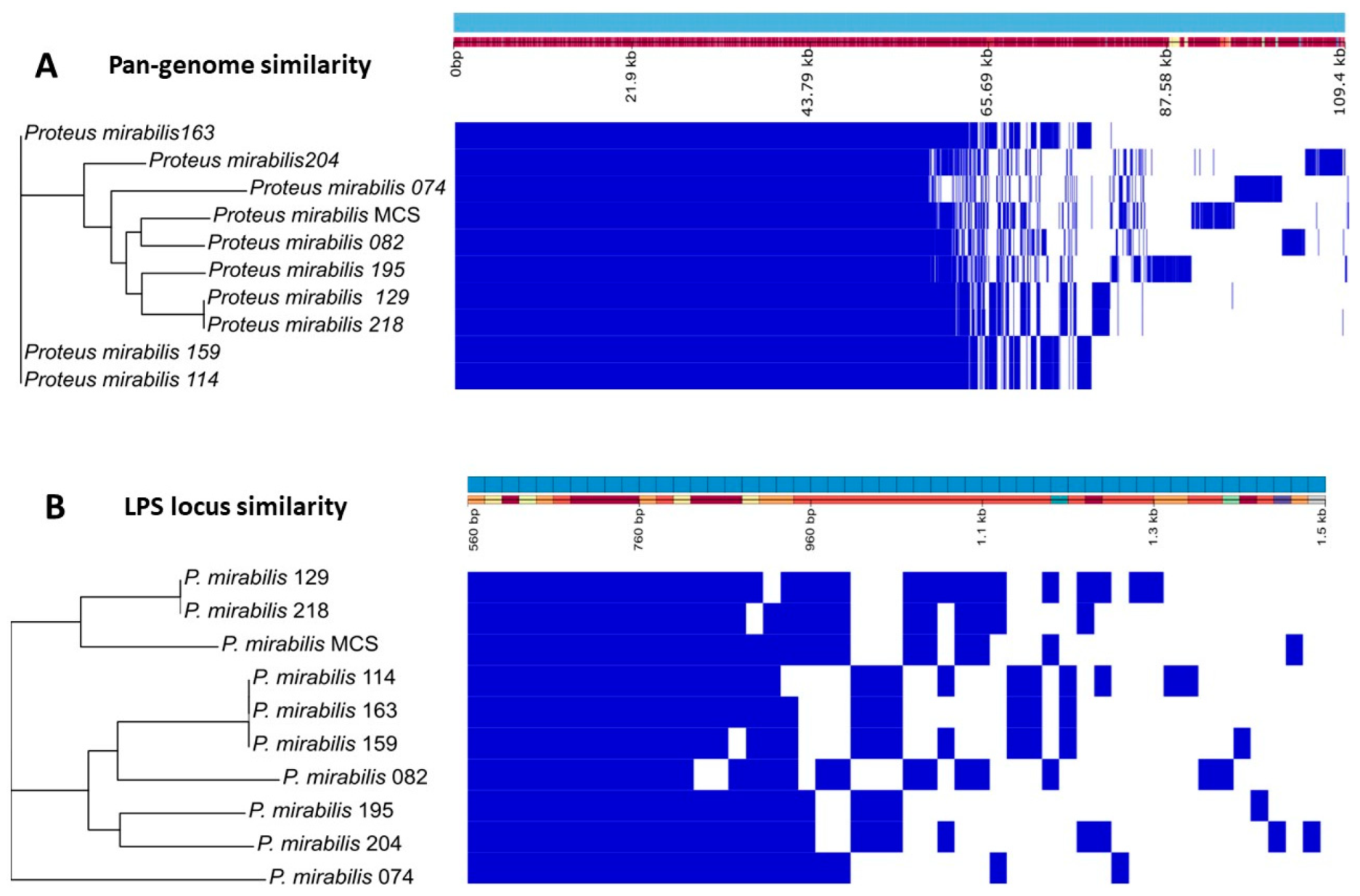 Microorganisms 11 02141 g007 Microorganisms 11 02141 g007