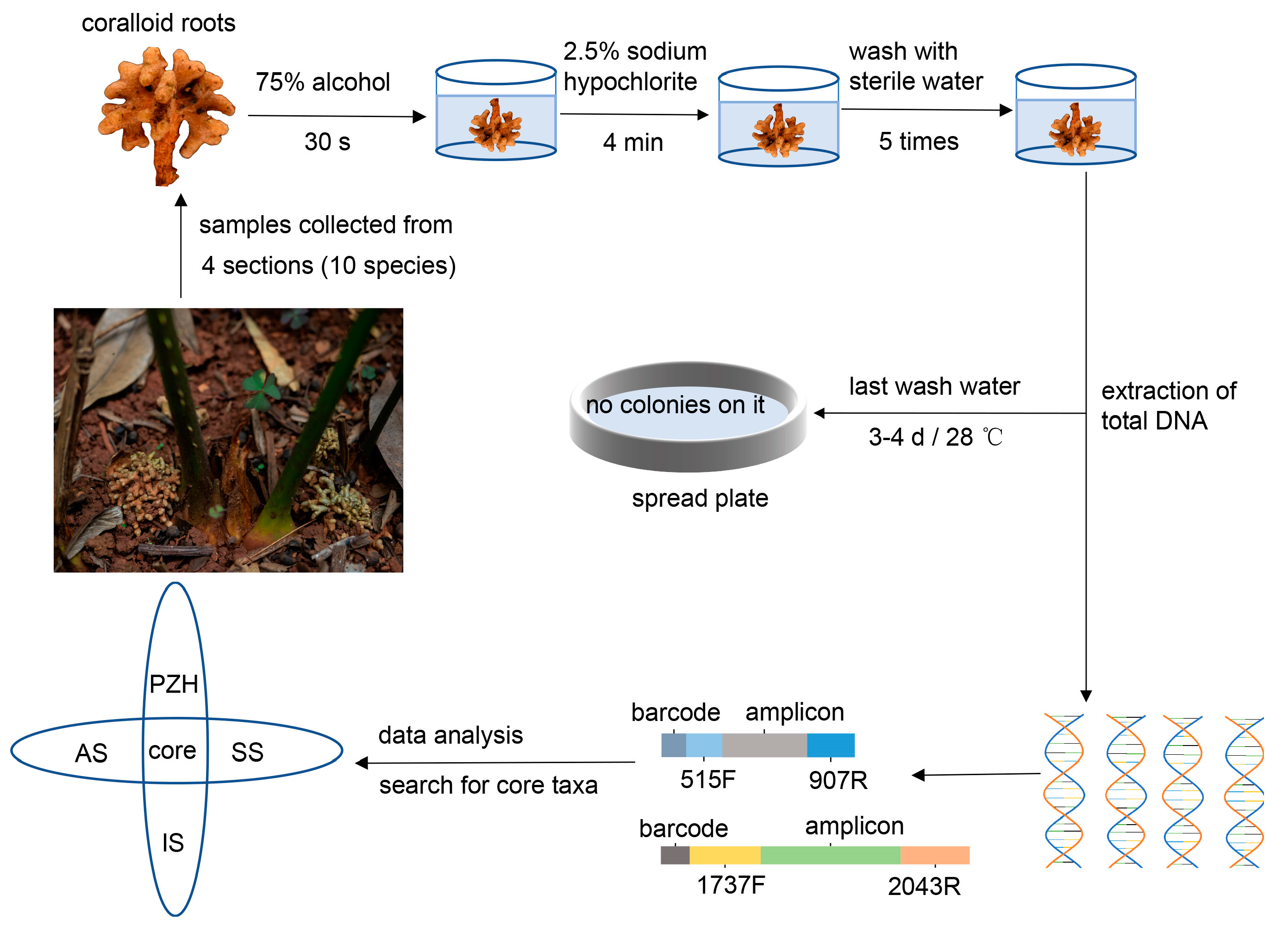 Microorganisms 11 02144 g002