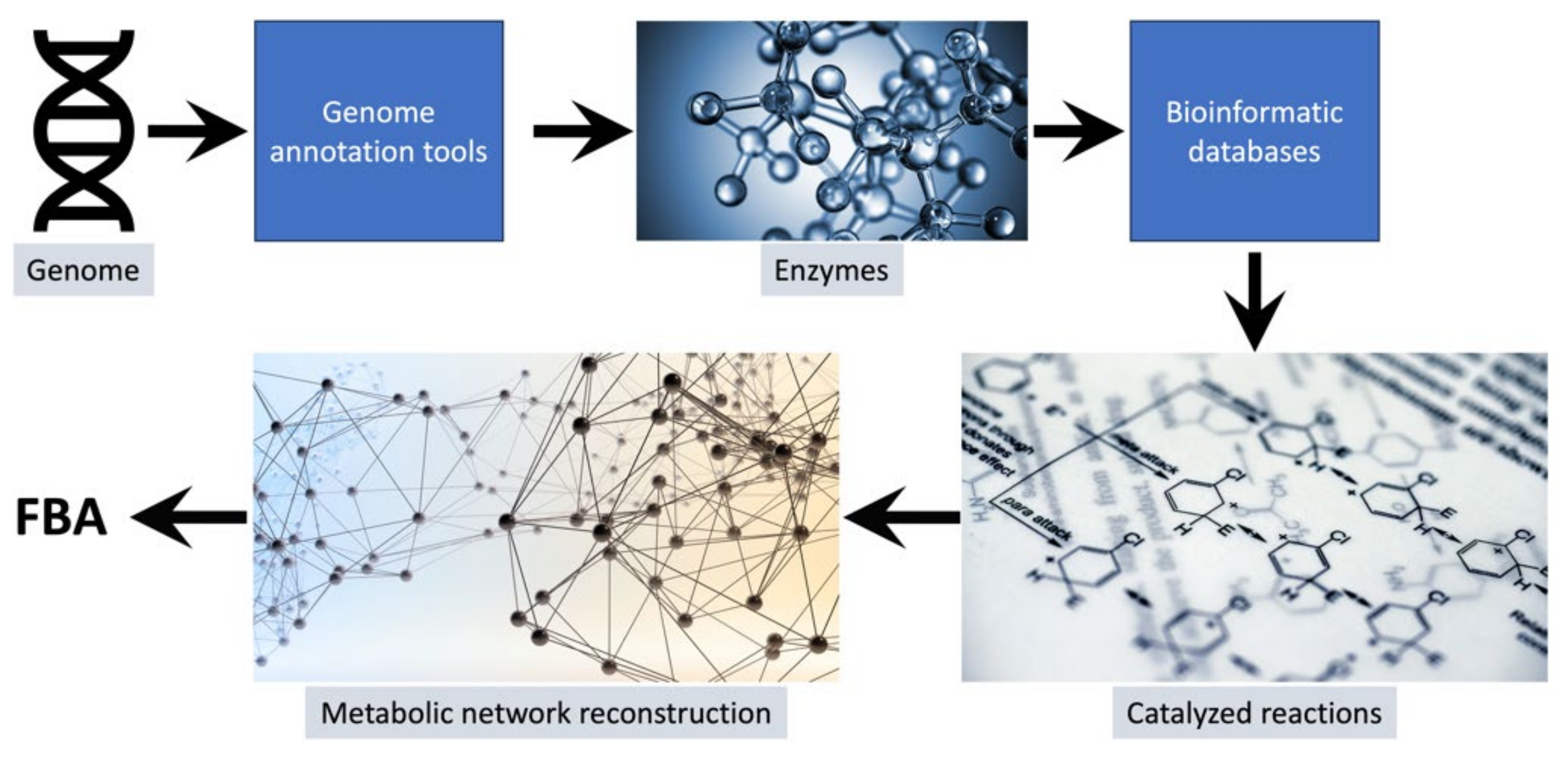 Microorganisms 11 02149 g001 Microorganisms 11 02149 g001