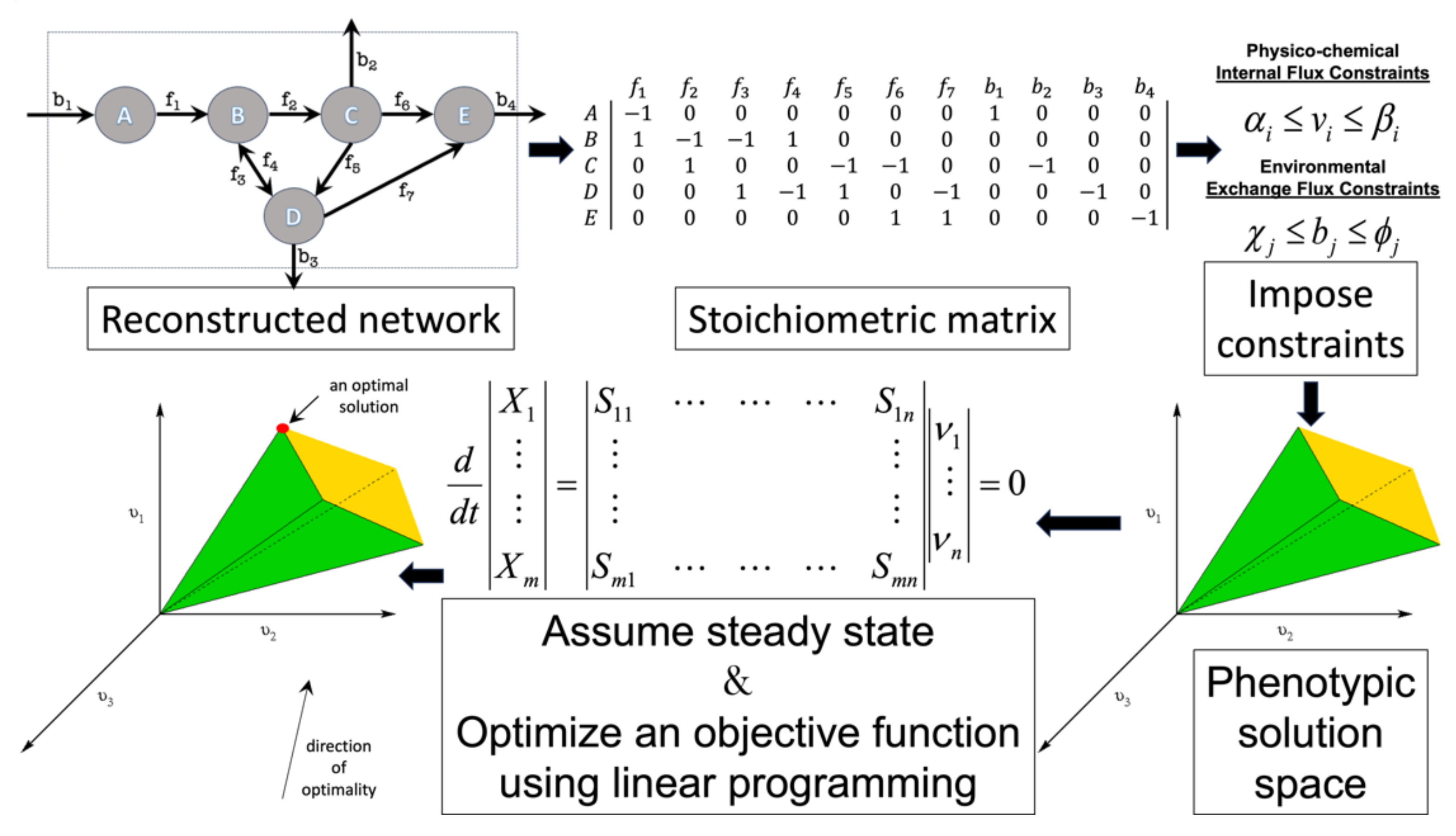Microorganisms 11 02149 g002 Microorganisms 11 02149 g002