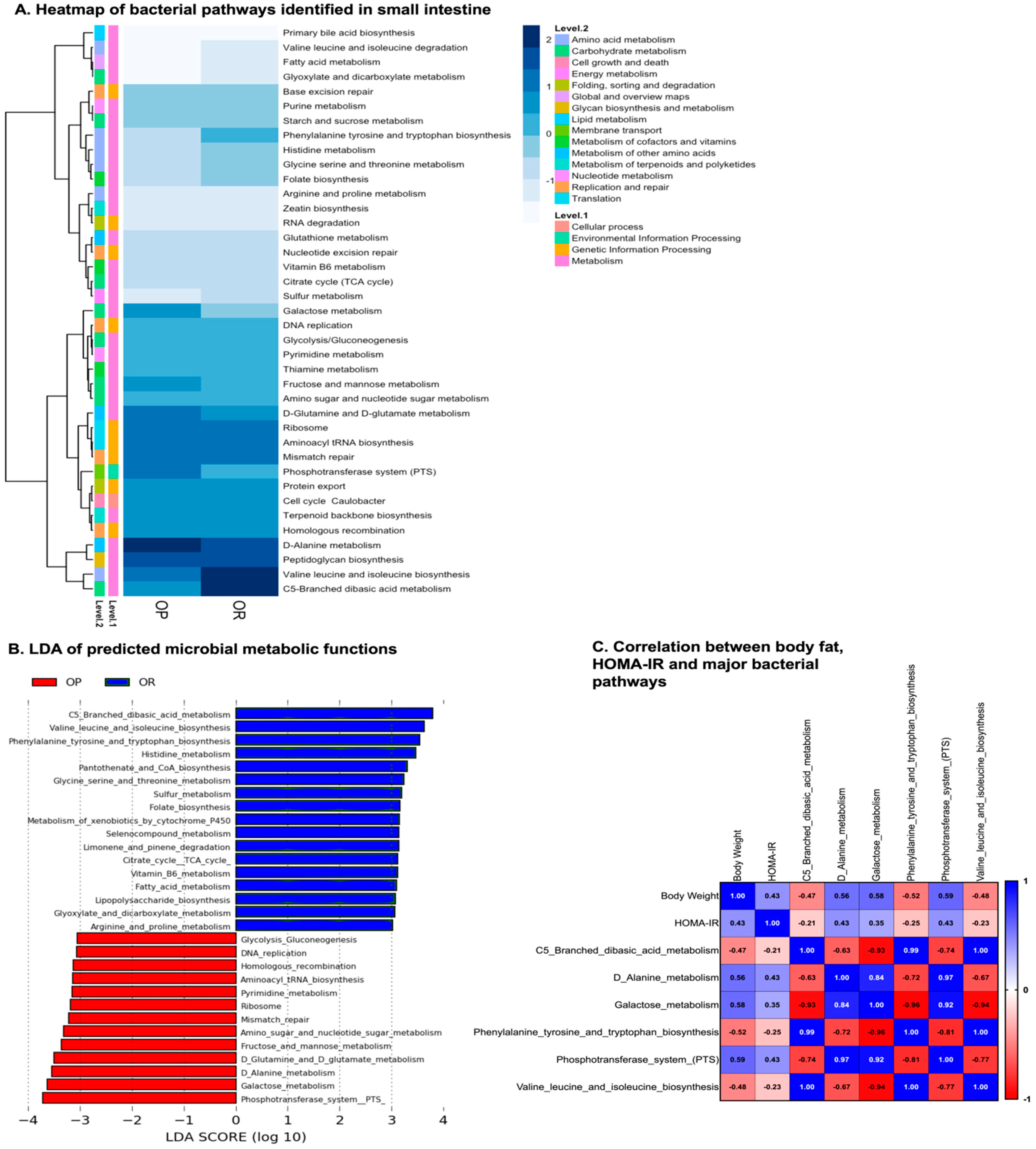 Microorganisms 11 02153 g004