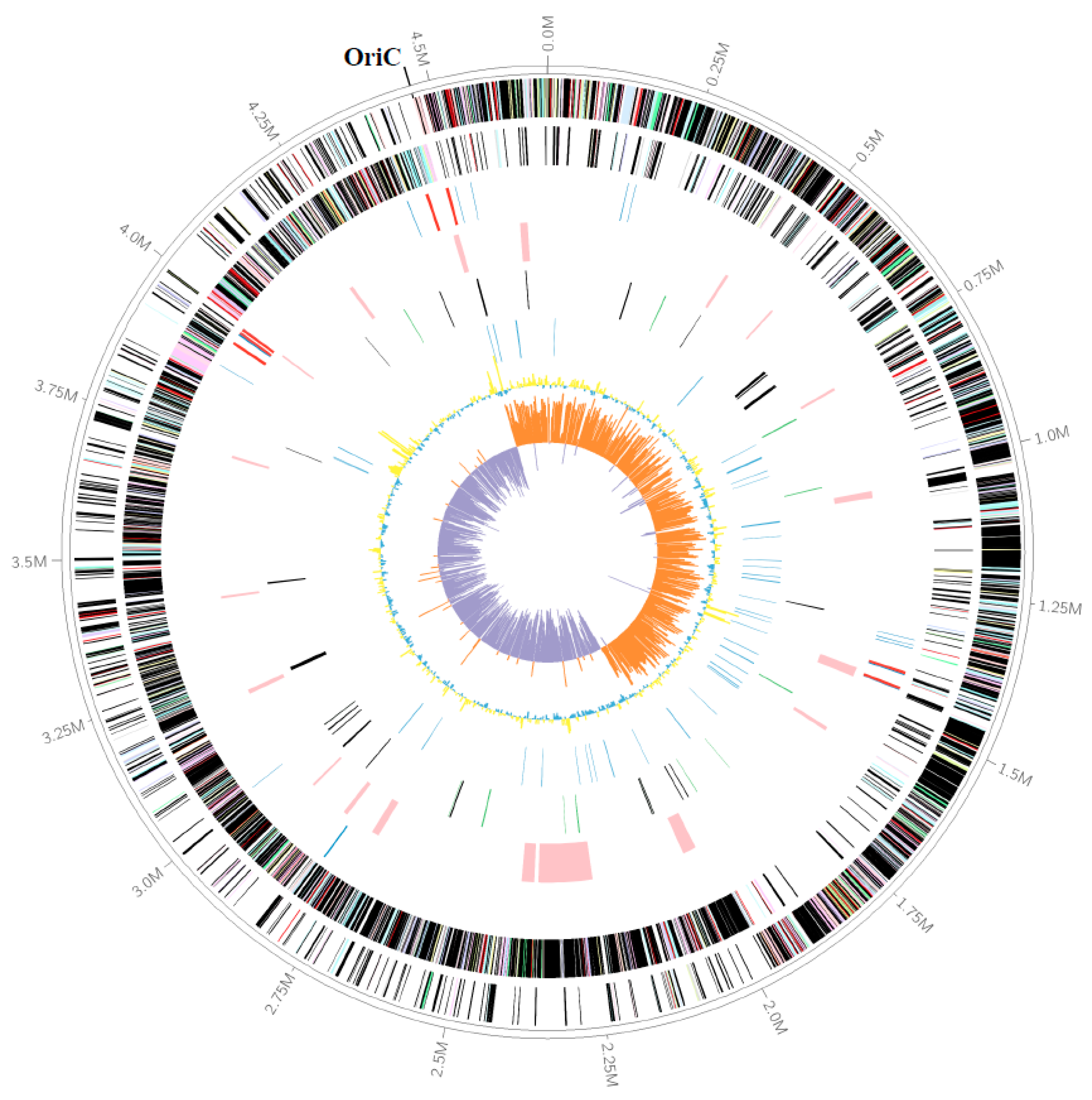Microorganisms 11 02156 g001