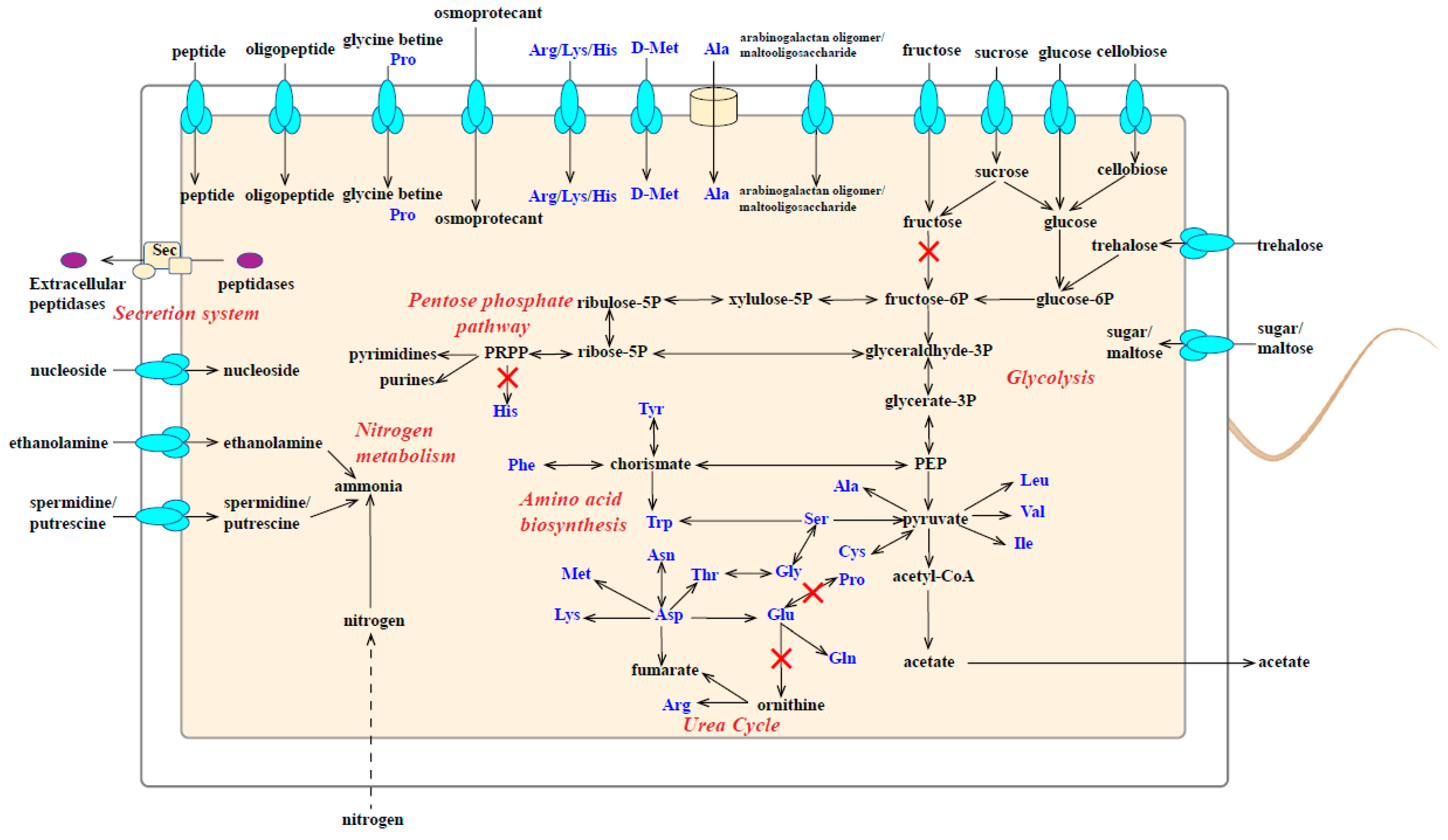 Microorganisms 11 02156 g004