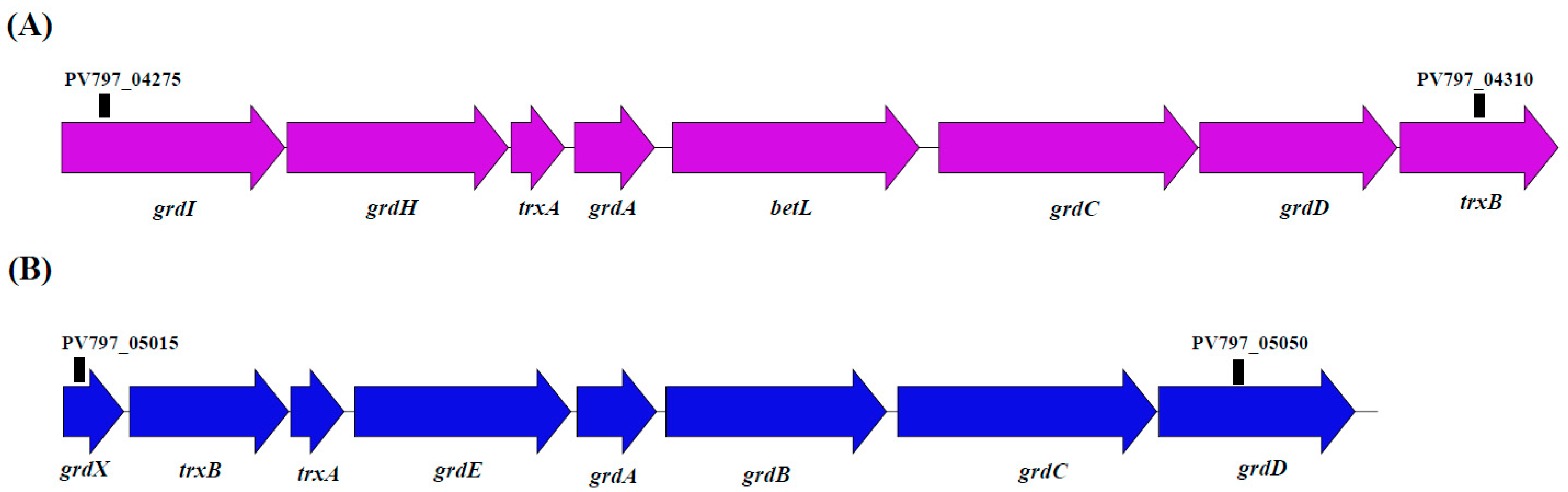 Microorganisms 11 02156 g005