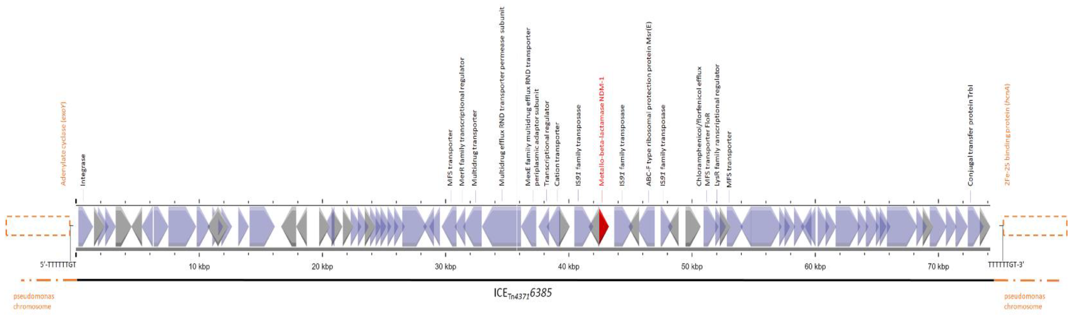 Microorganisms 11 02159 g001