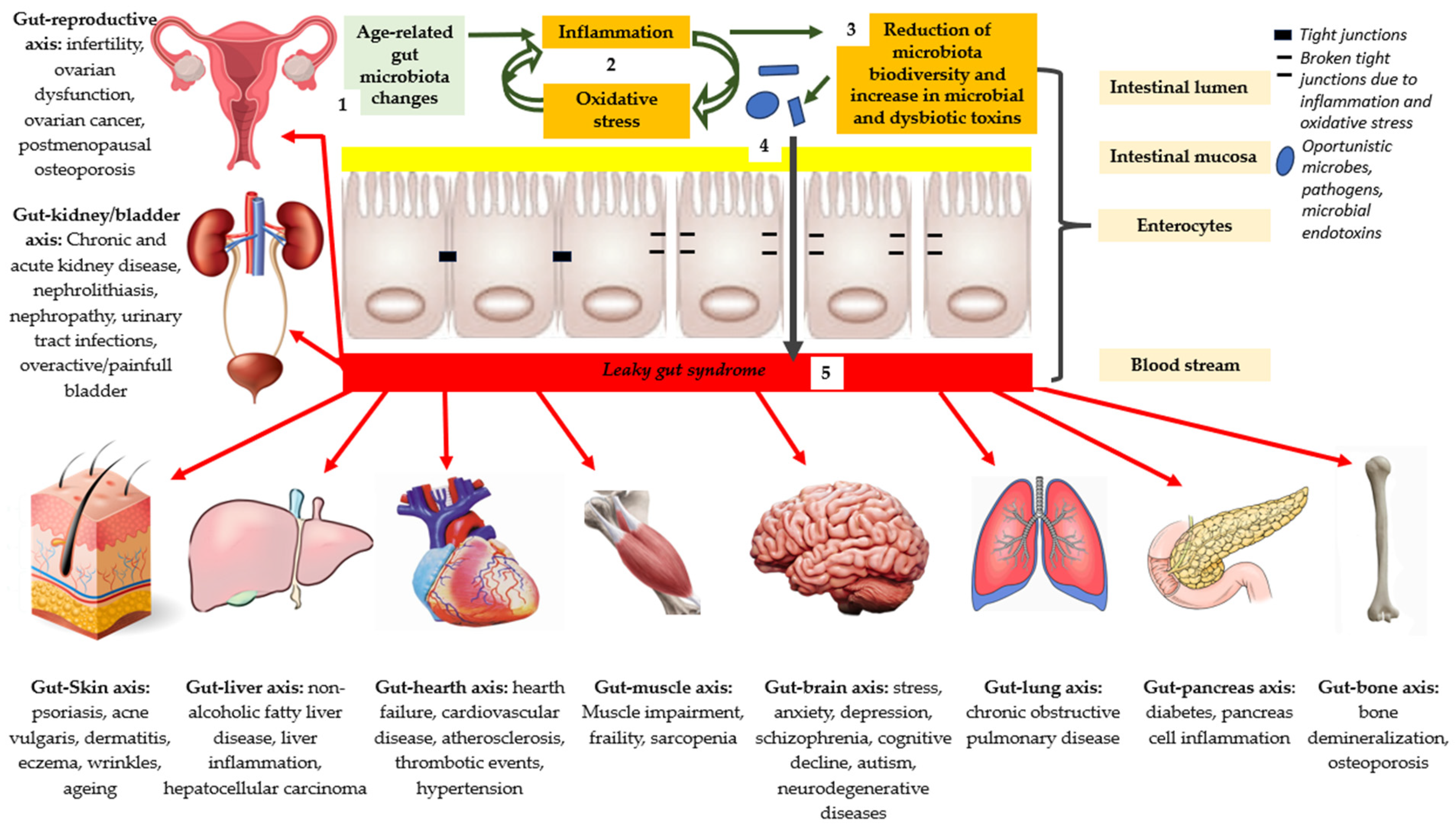 Microorganisms 11 02160 g001
