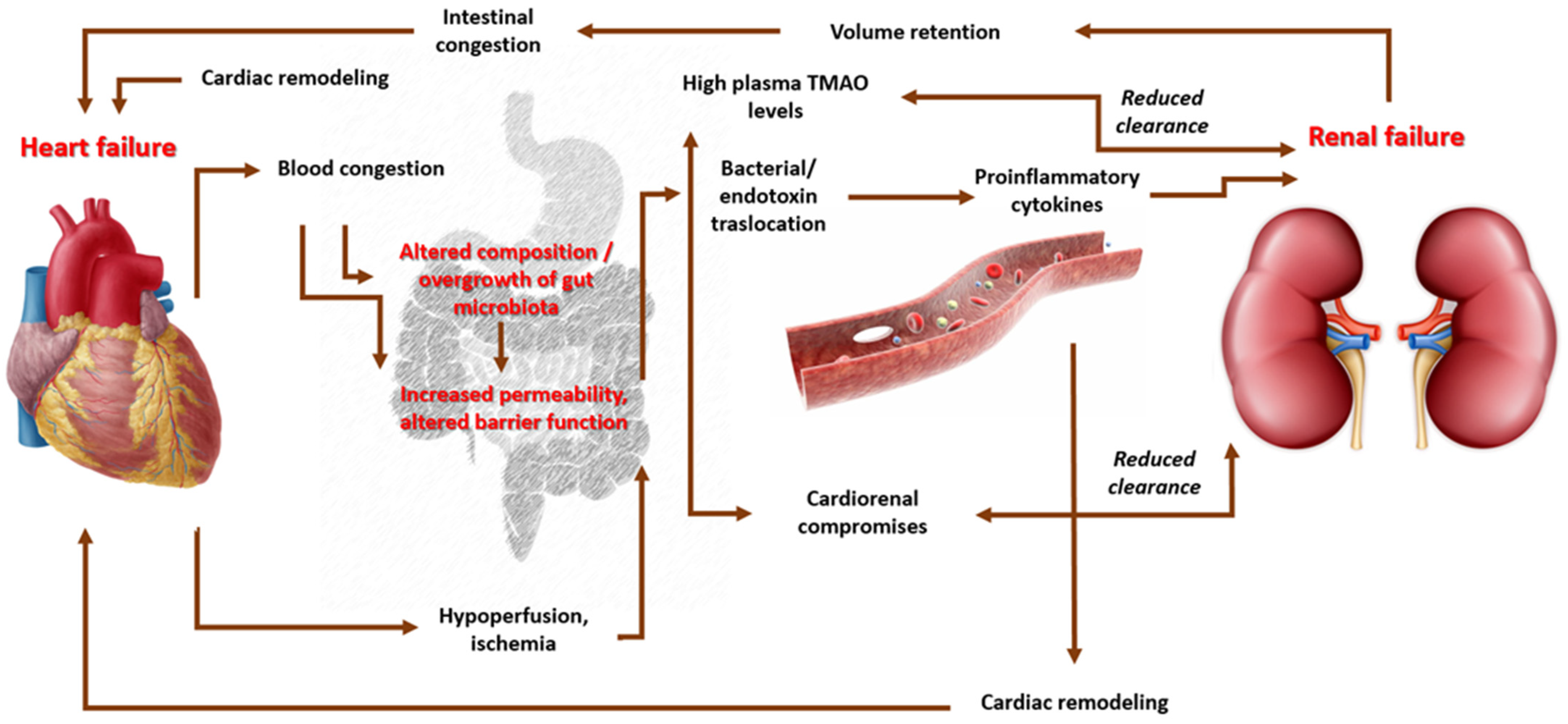 Microorganisms 11 02160 g004