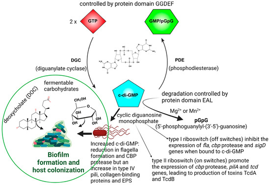Microorganisms 11 02161 g001