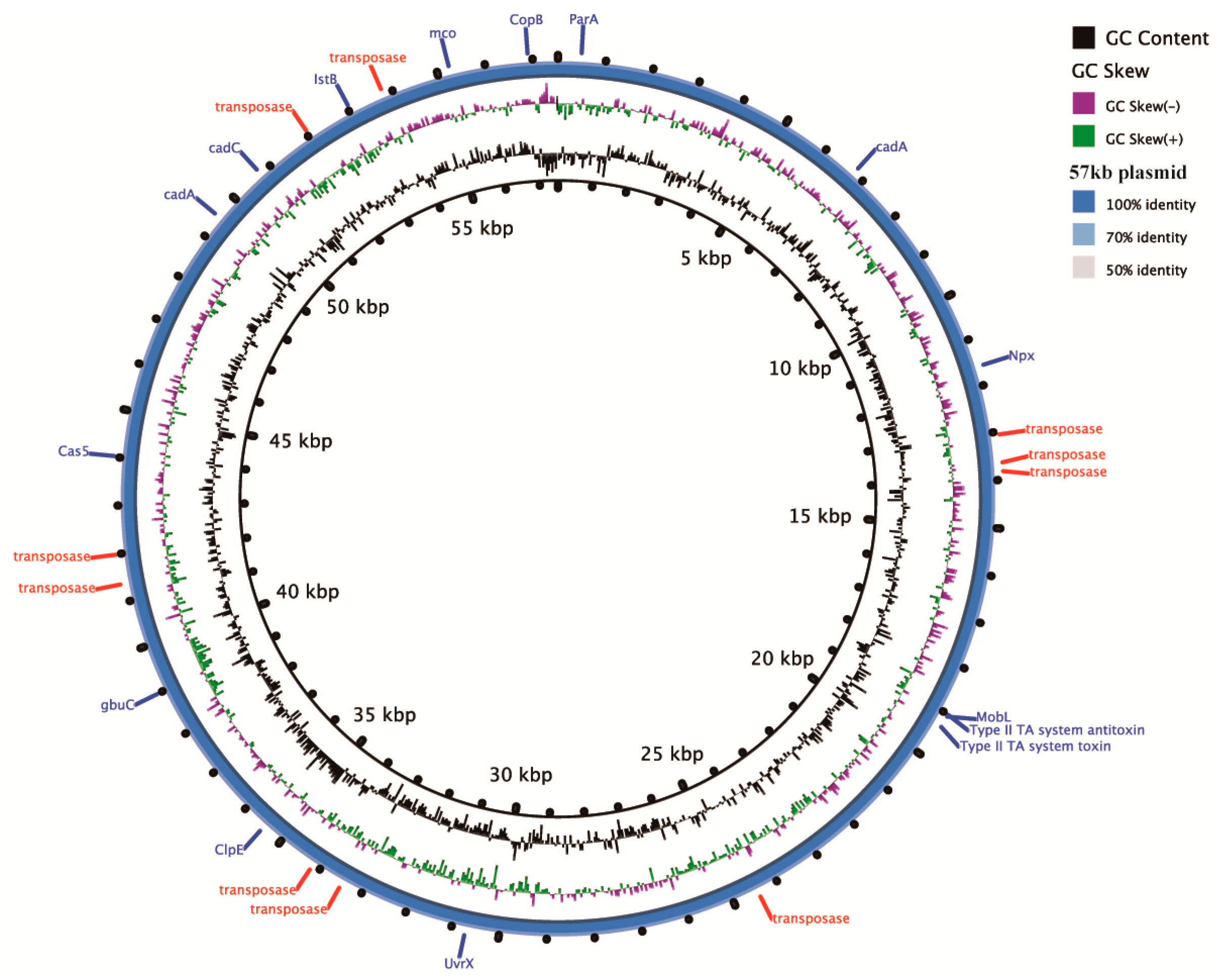 Microorganisms 11 02166 g003