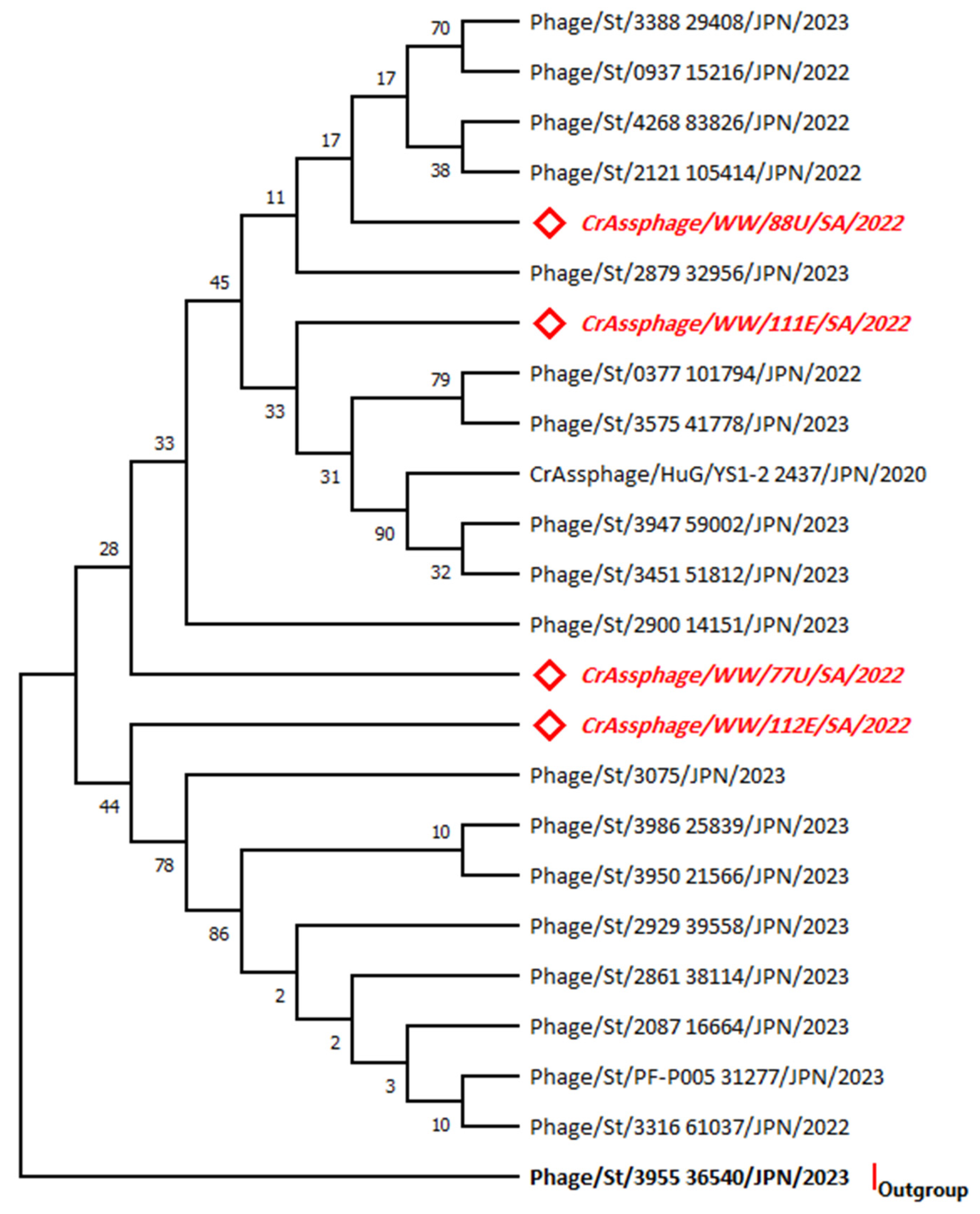 Microorganisms 11 02167 g003