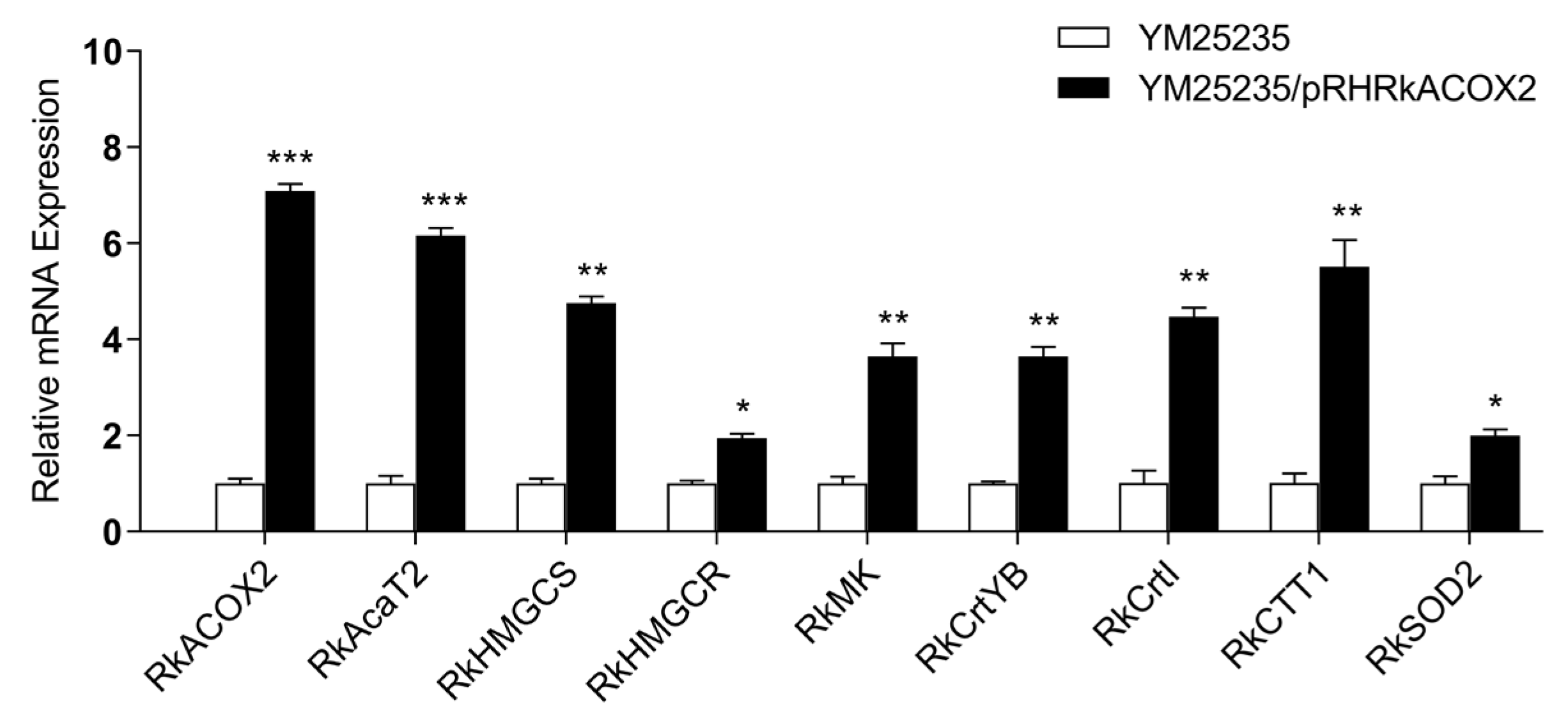 Microorganisms 11 02168 g006