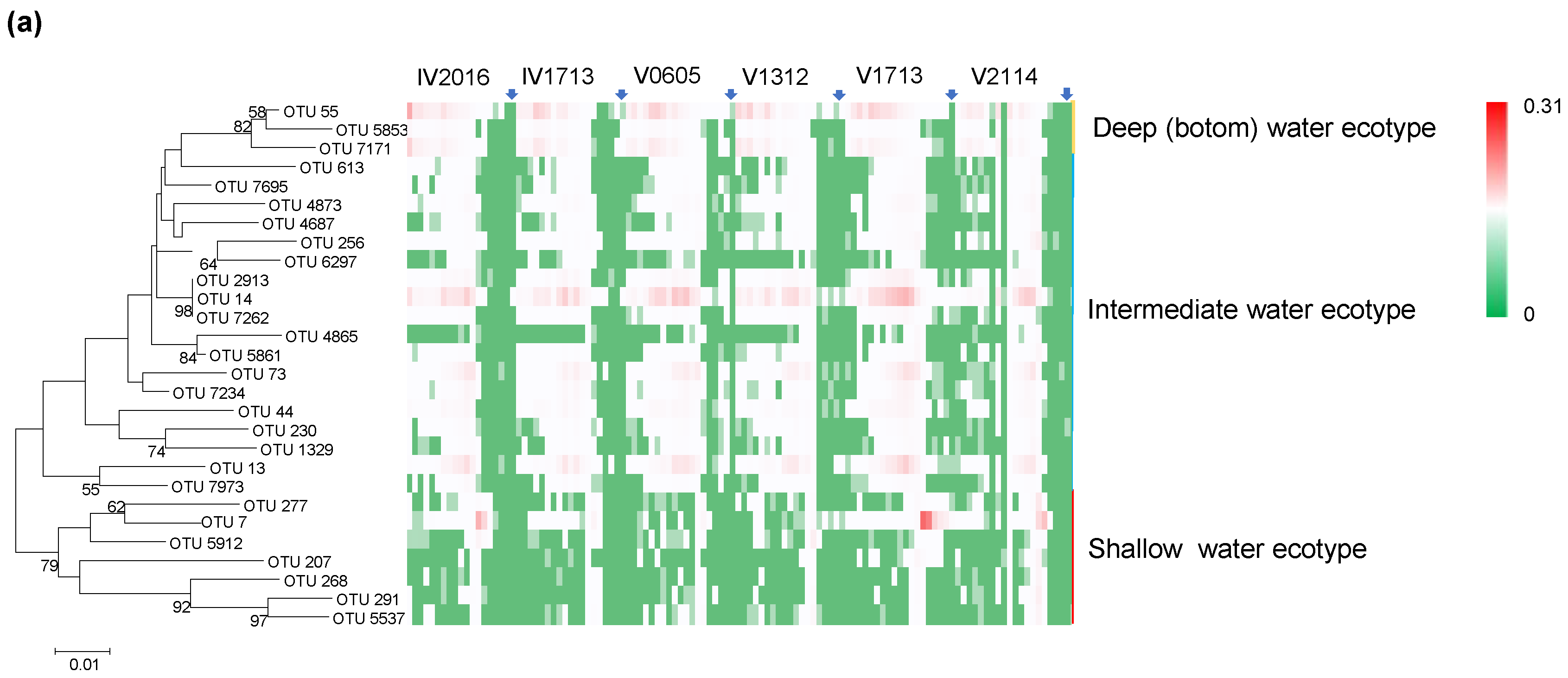Microorganisms 11 02172 g006a