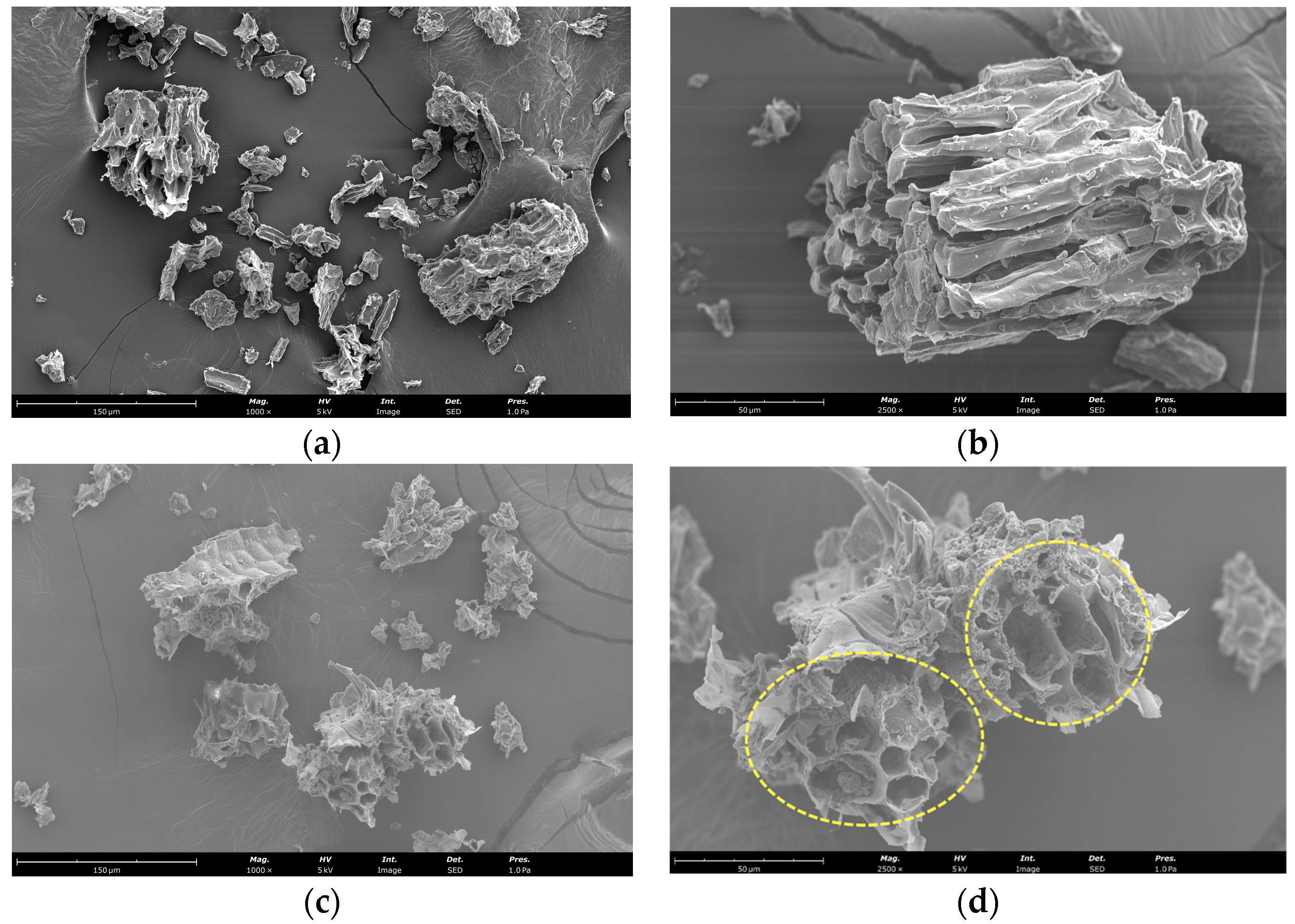 Microorganisms 11 02180 g004