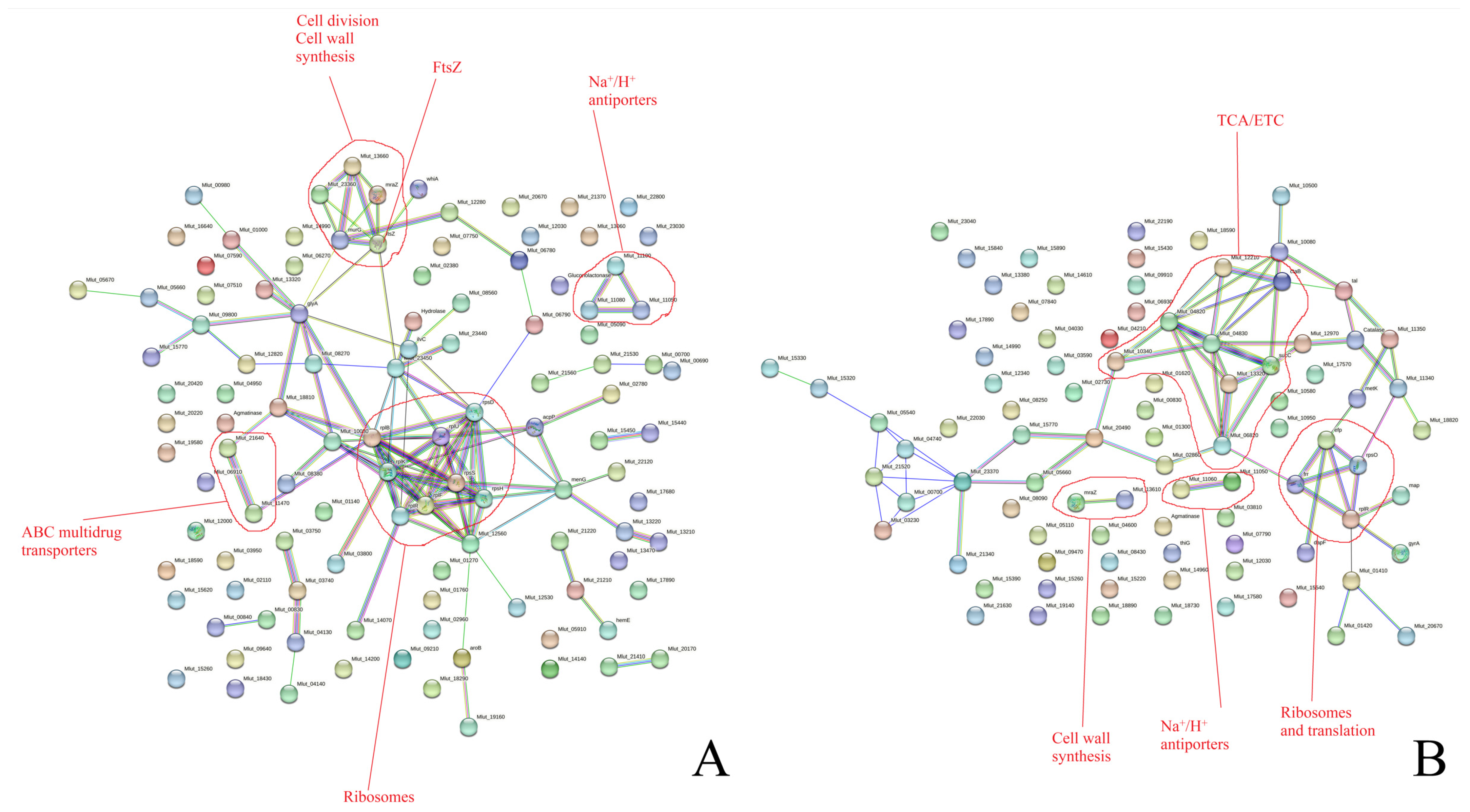 Microorganisms 11 02181 g003
