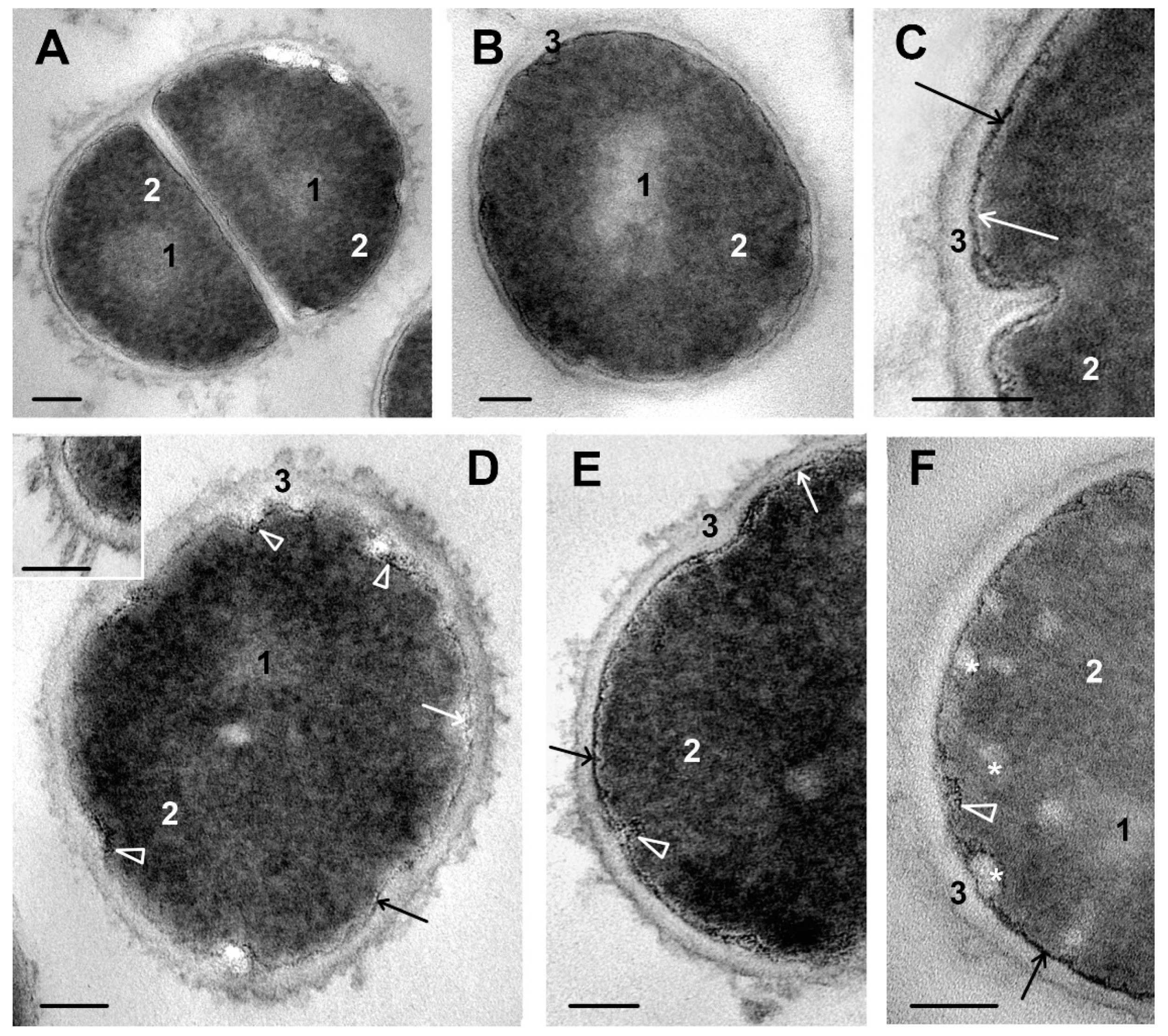 Microorganisms 11 02192 g002