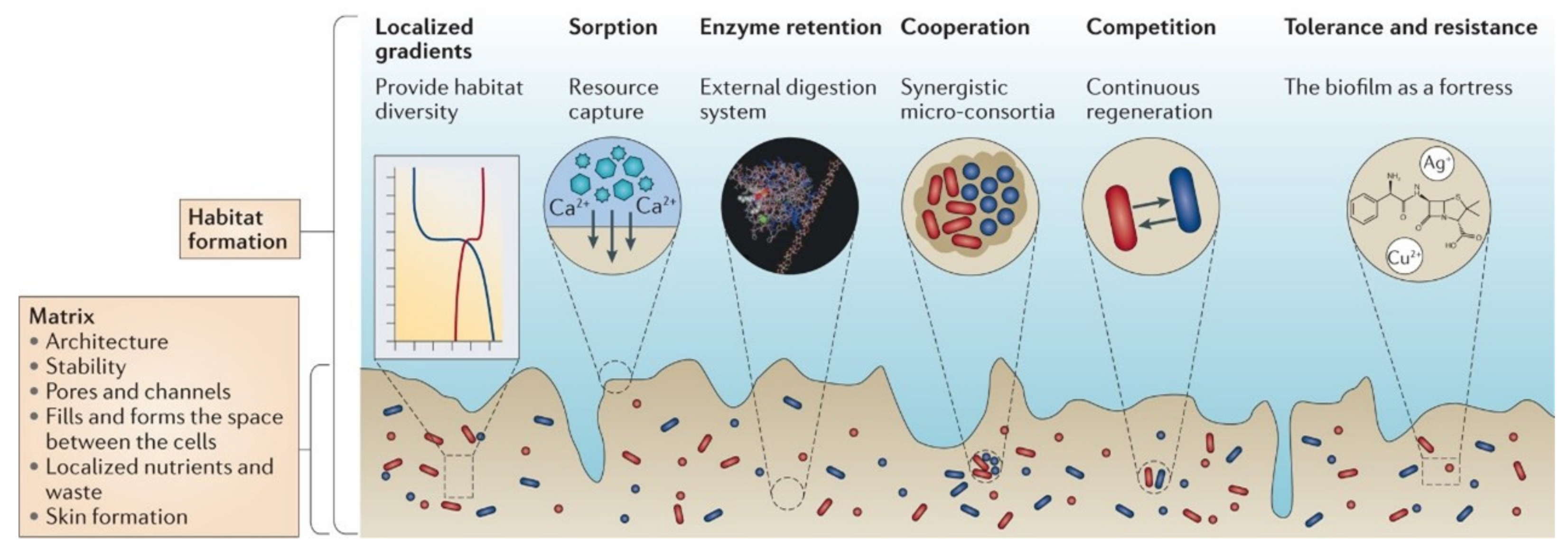 Microorganisms 11 02194 g001 Microorganisms 11 02194 g001