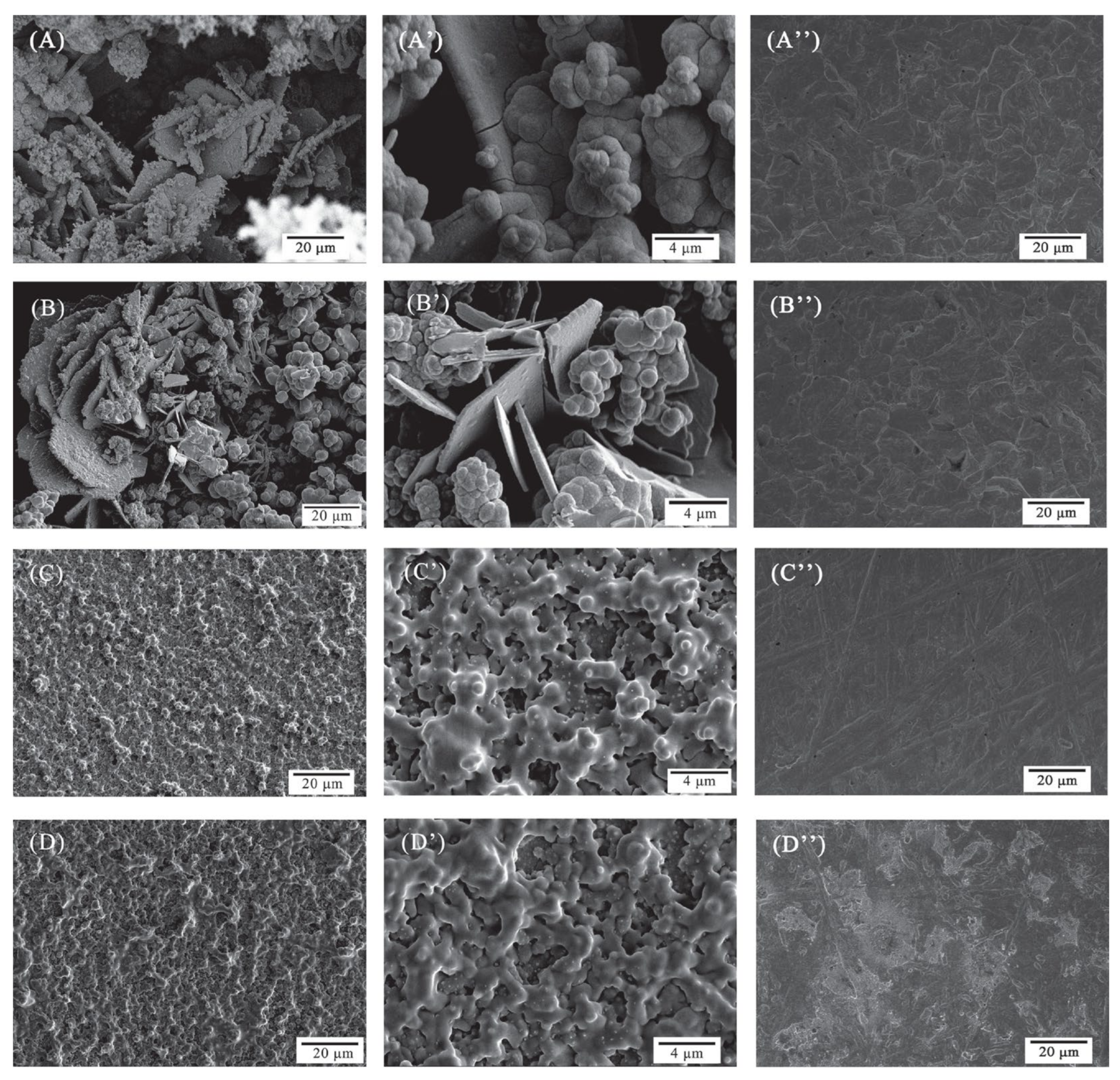 Microorganisms 11 02194 g002 Microorganisms 11 02194 g002