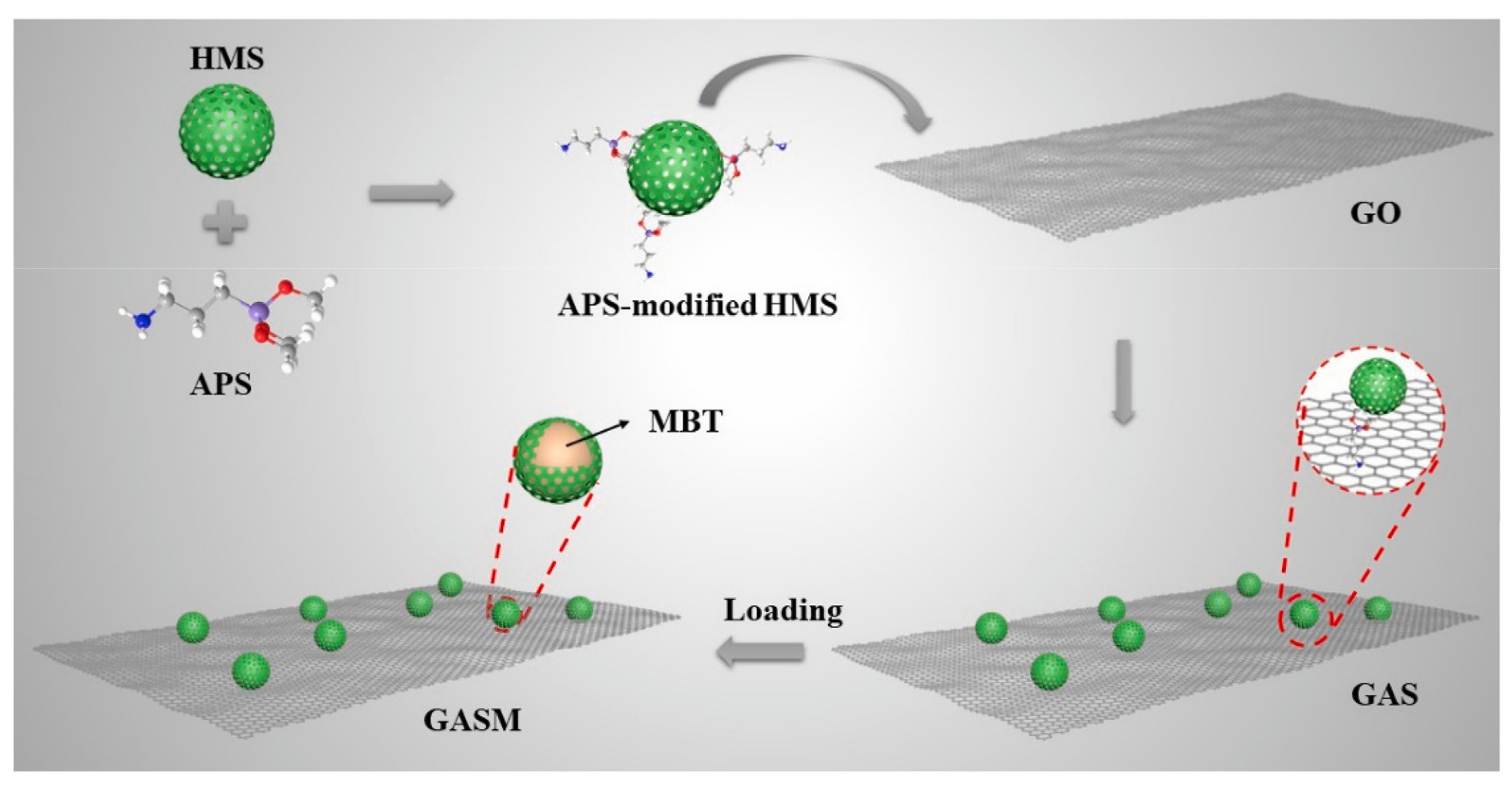 Microorganisms 11 02194 g006 Microorganisms 11 02194 g006