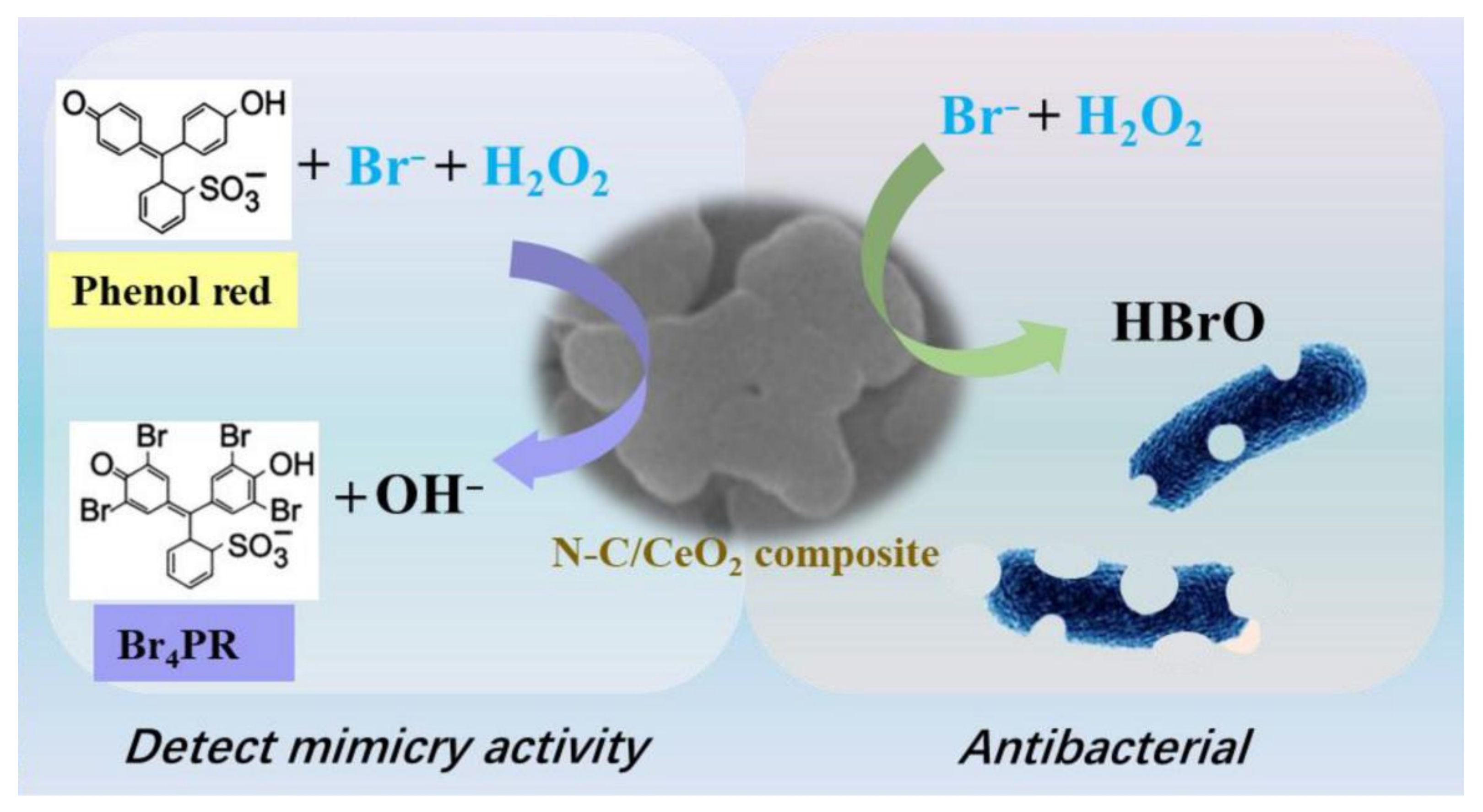 Microorganisms 11 02194 g012 Microorganisms 11 02194 g012