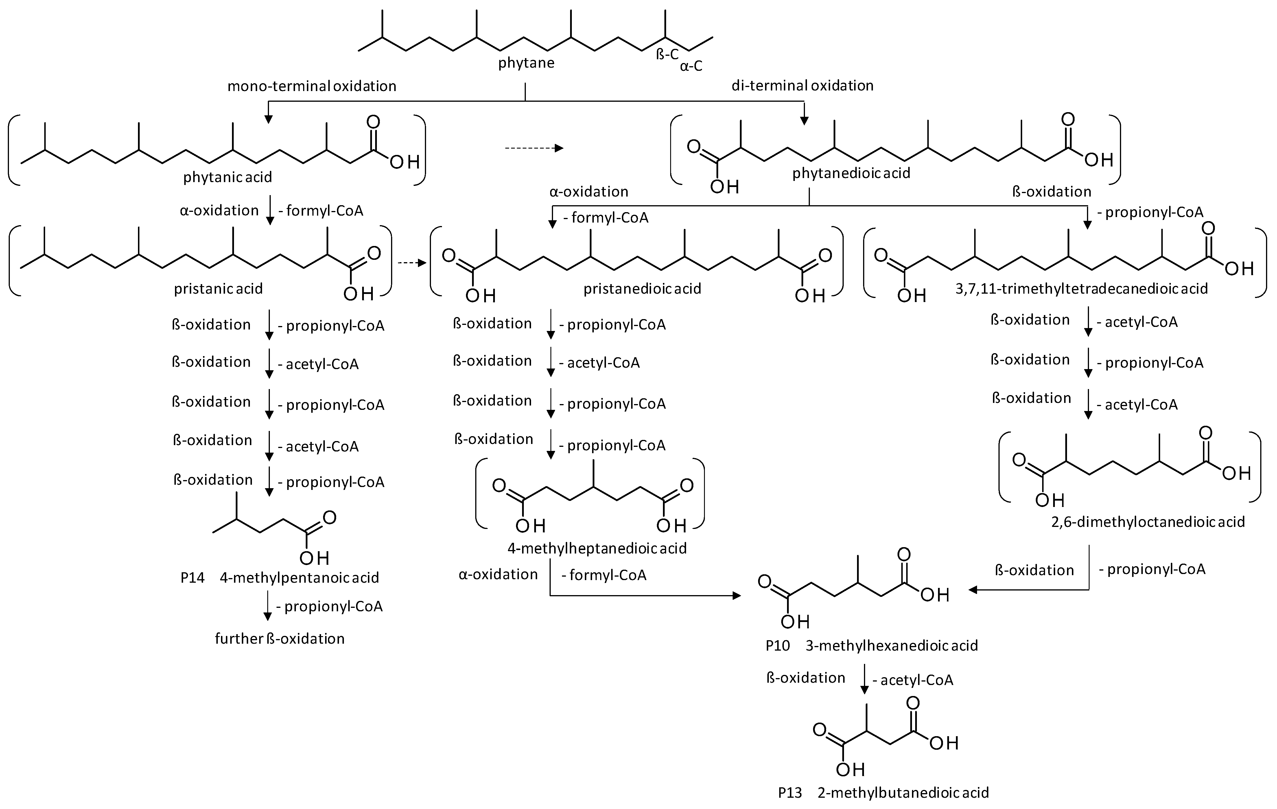 Microorganisms 11 02195 g007 Microorganisms 11 02195 g007
