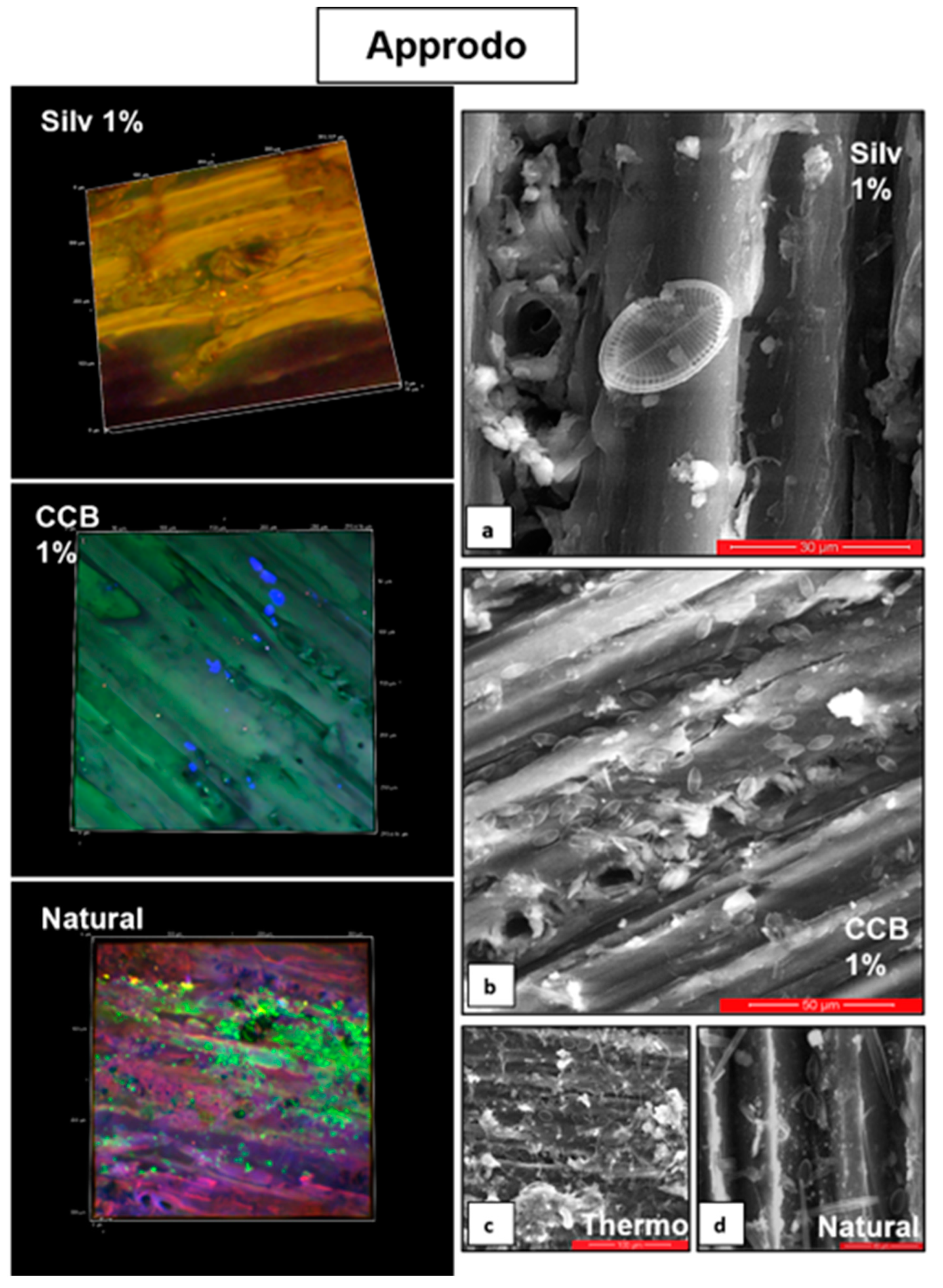 Microorganisms 11 02196 g004