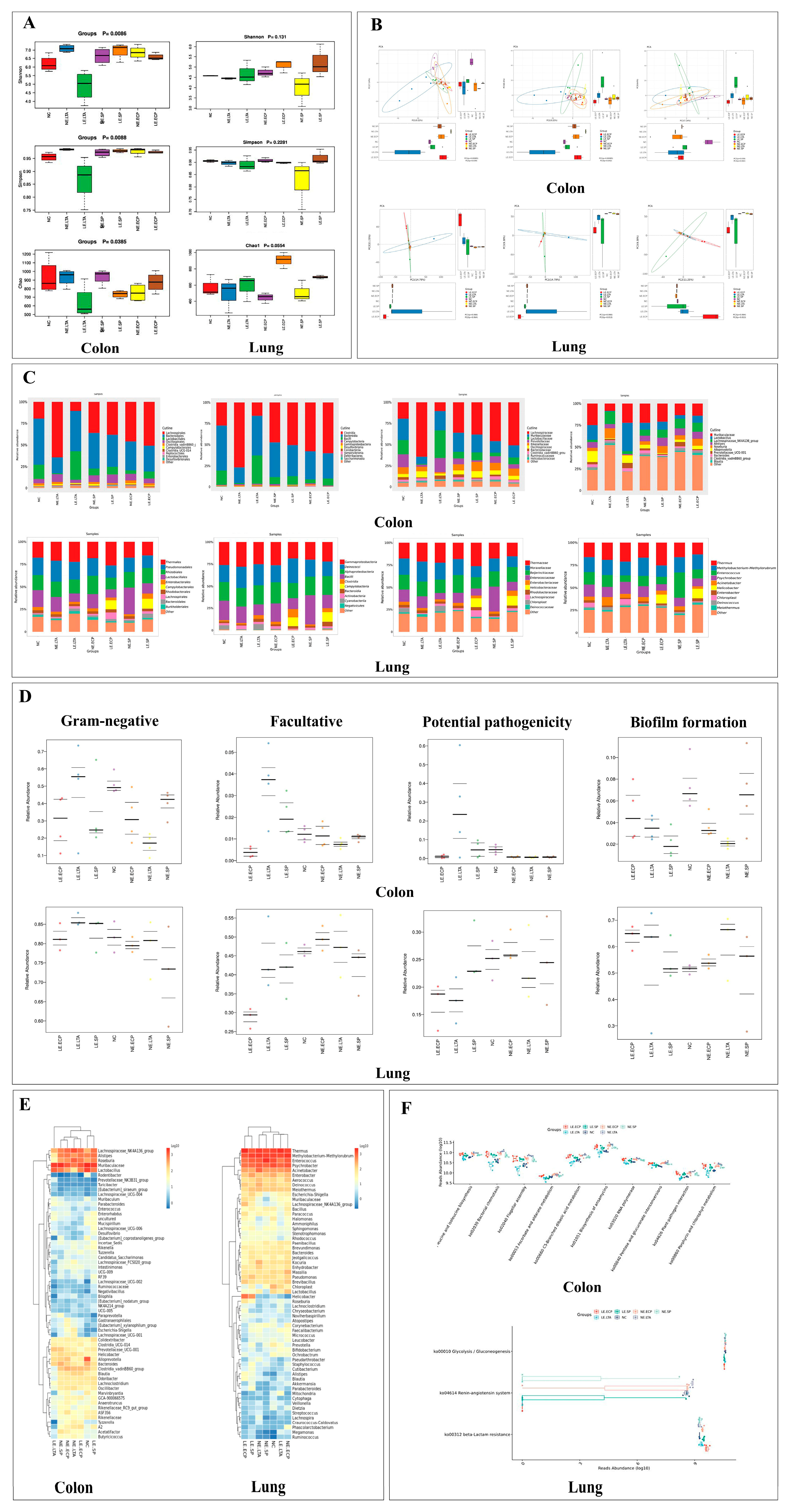 Microorganisms 11 02203 g001