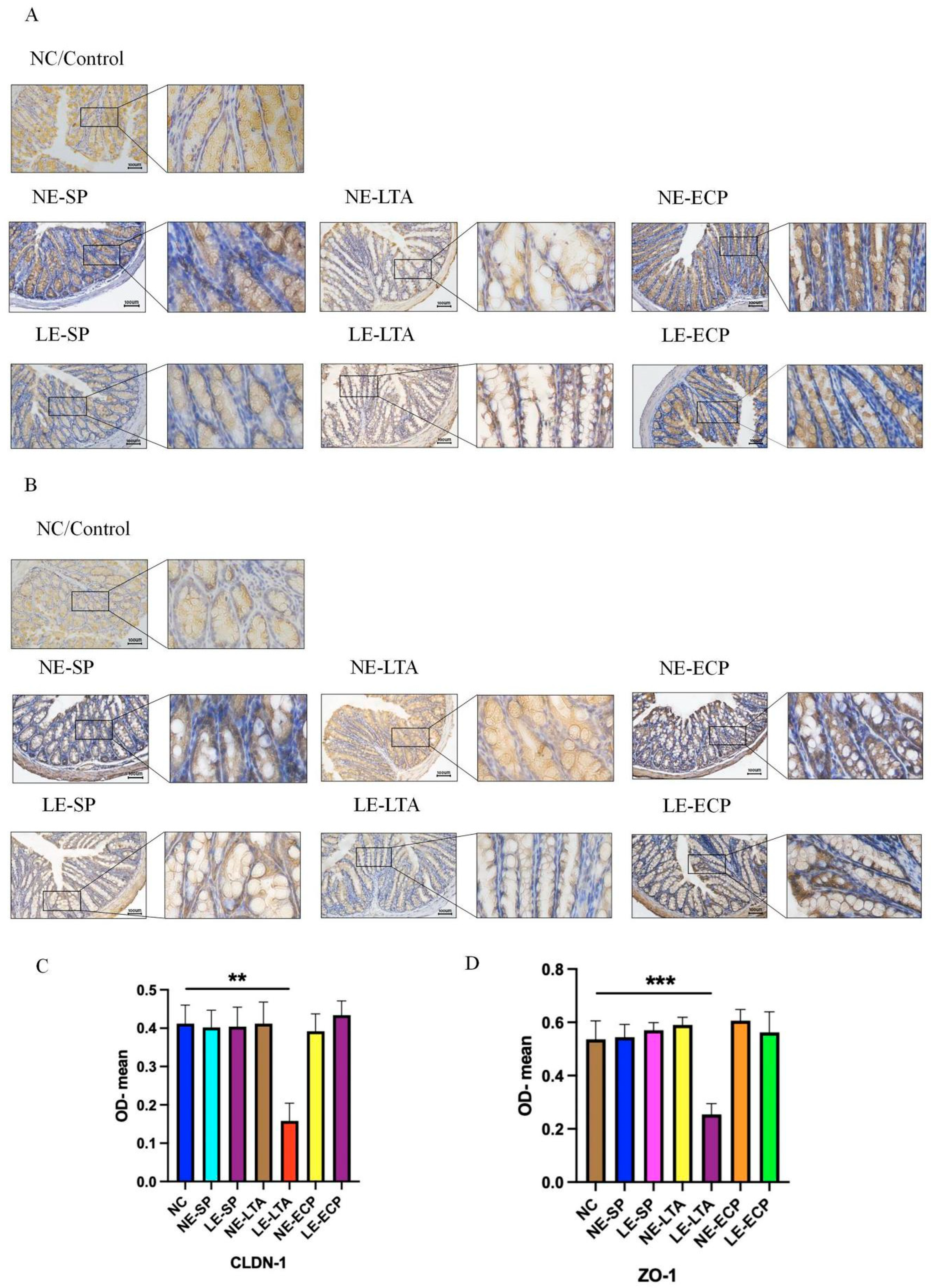 Microorganisms 11 02203 g003
