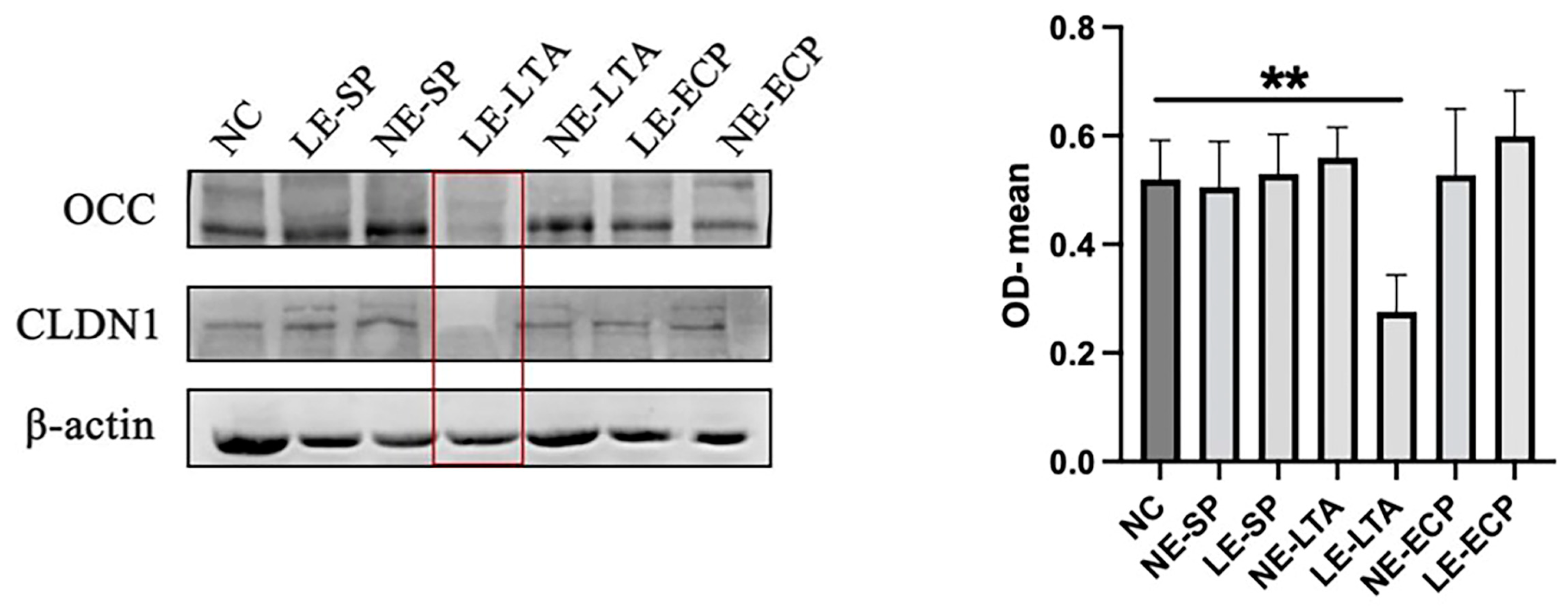 Microorganisms 11 02203 g007