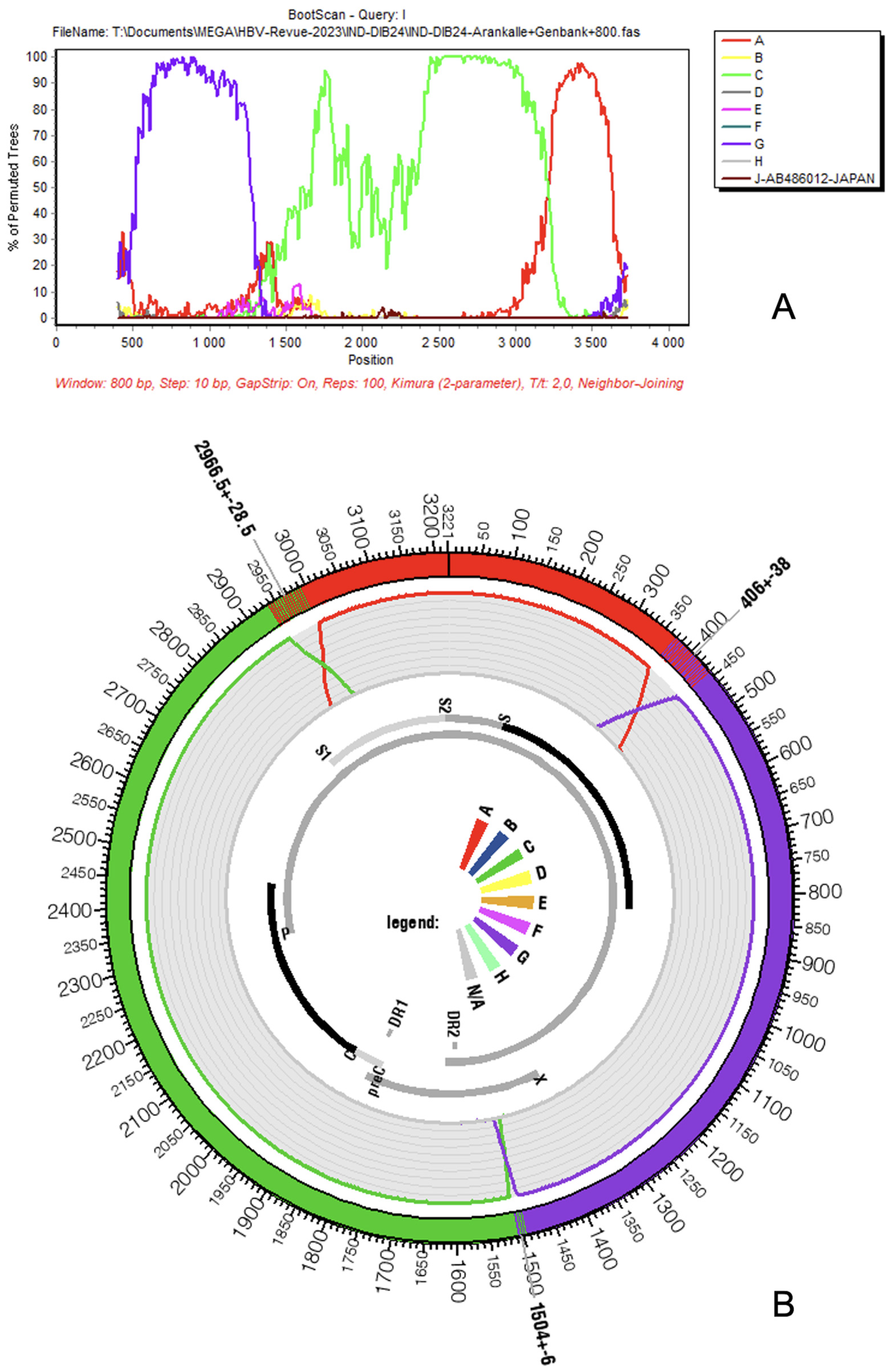 Microorganisms 11 02204 g001