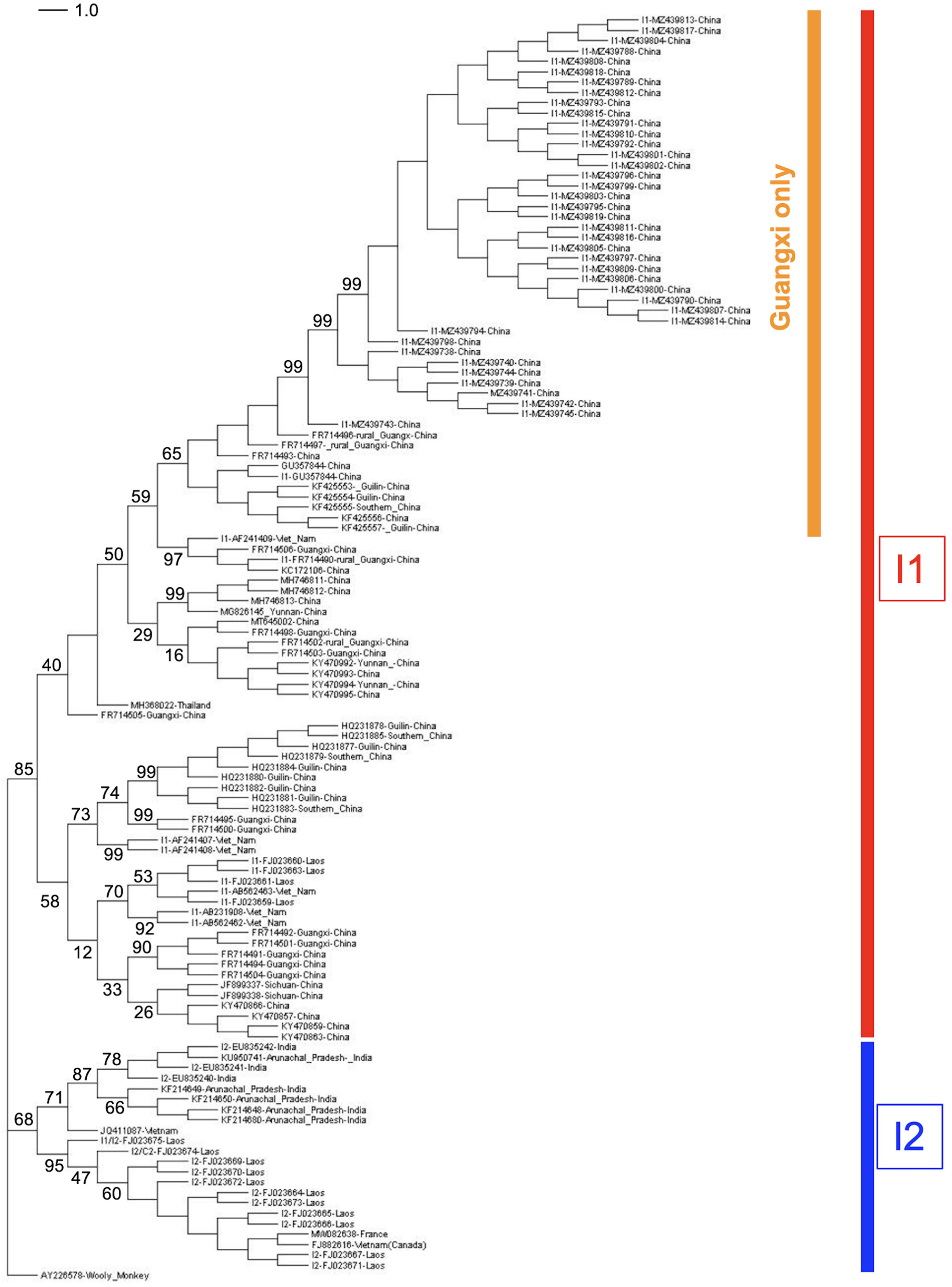 Microorganisms 11 02204 g006