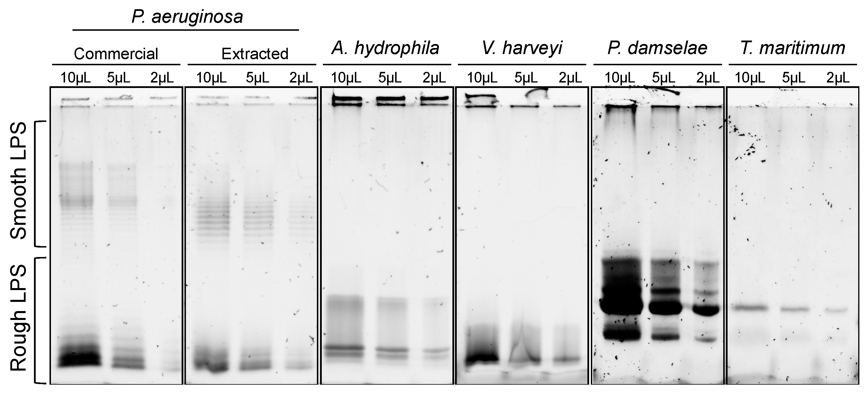 Microorganisms 11 02205 g001