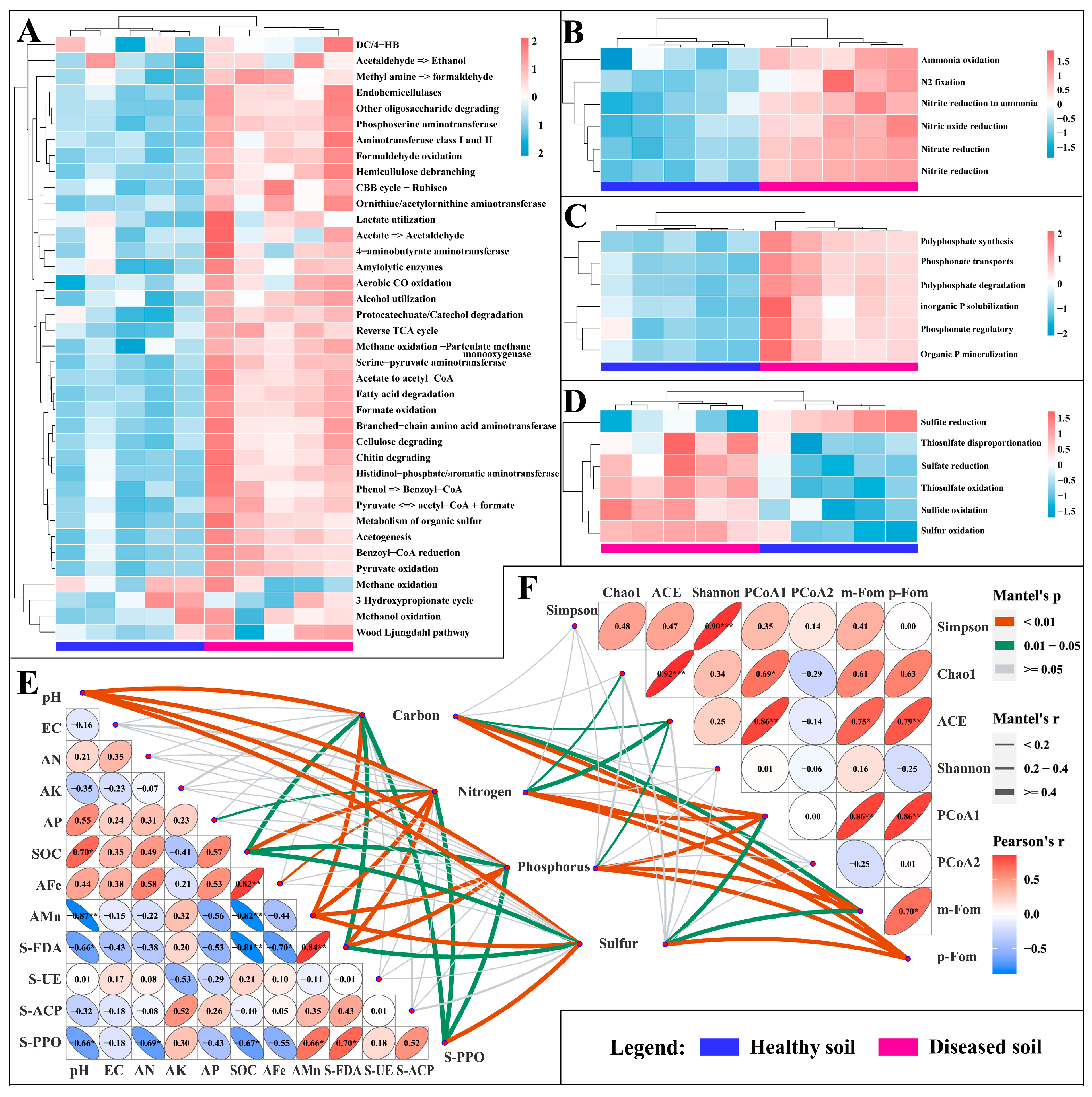 Microorganisms 11 02207 g006 Microorganisms 11 02207 g006