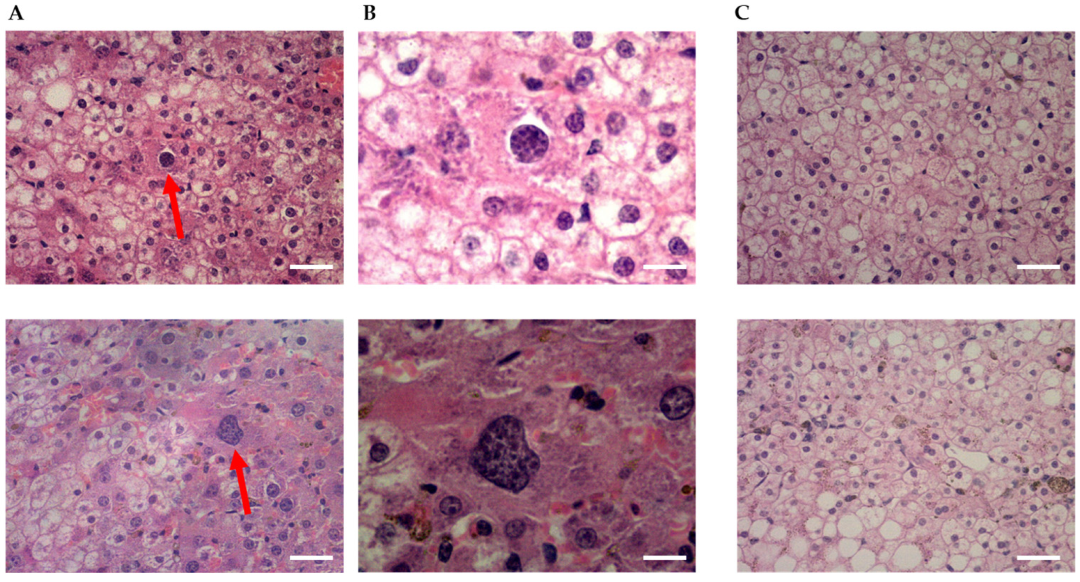 Microorganisms 11 02209 g002 Microorganisms 11 02209 g002