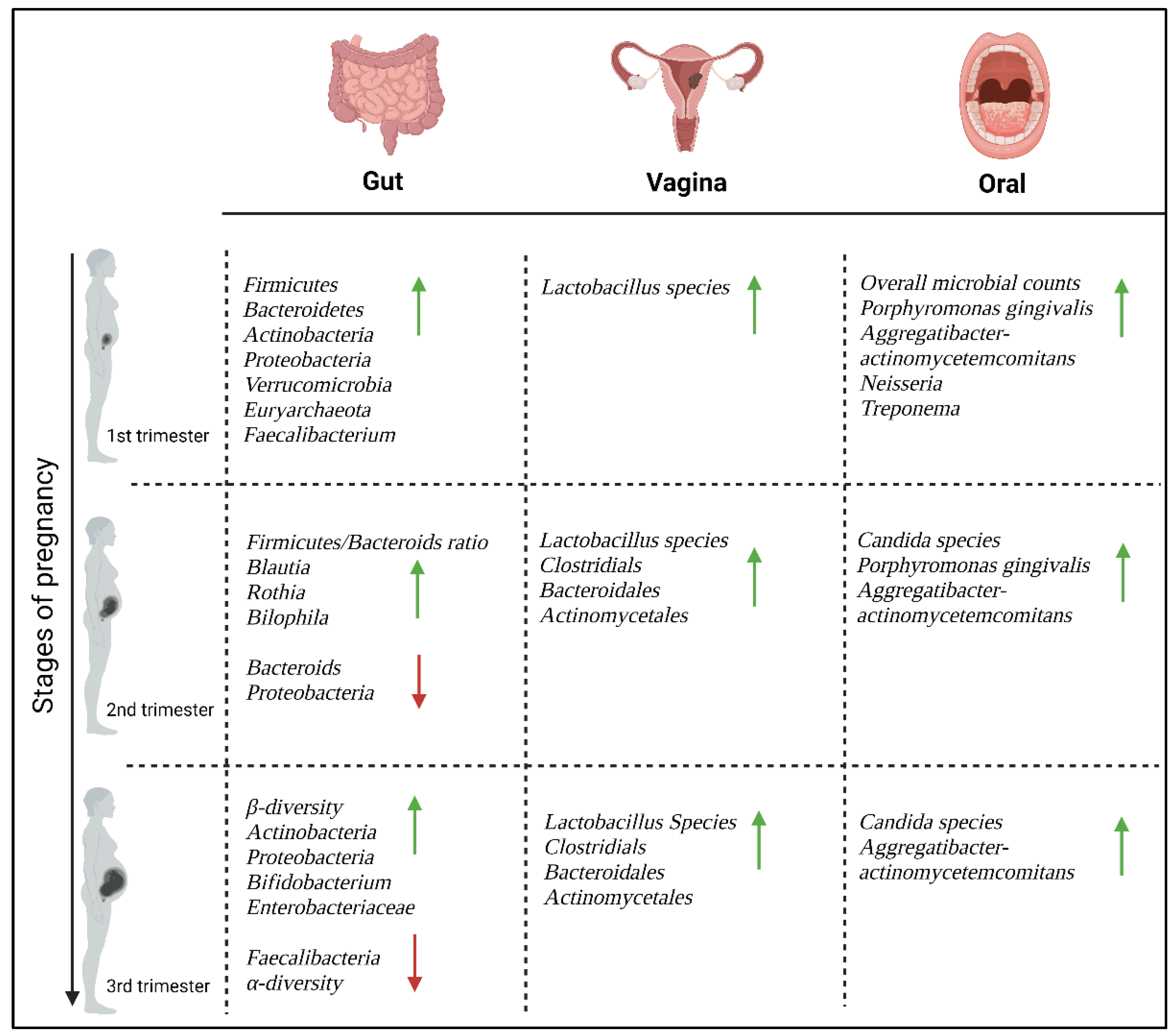 Microorganisms 11 02217 g002