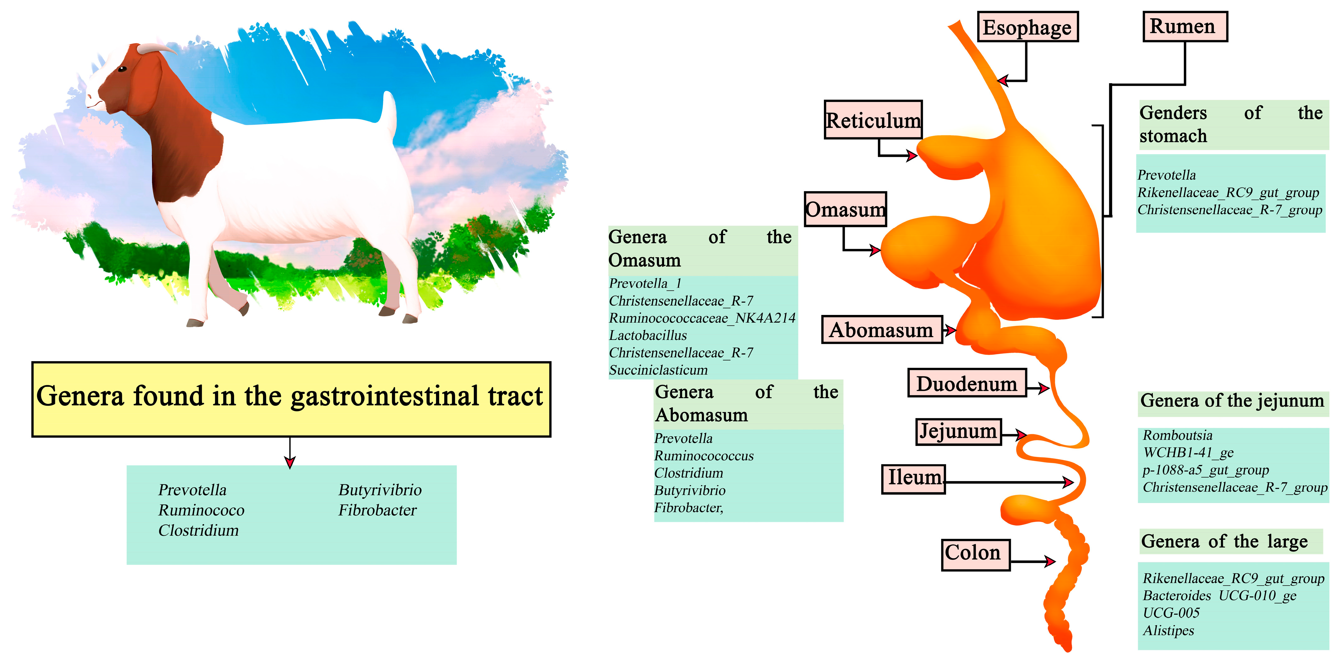 Microorganisms 11 02219 g003