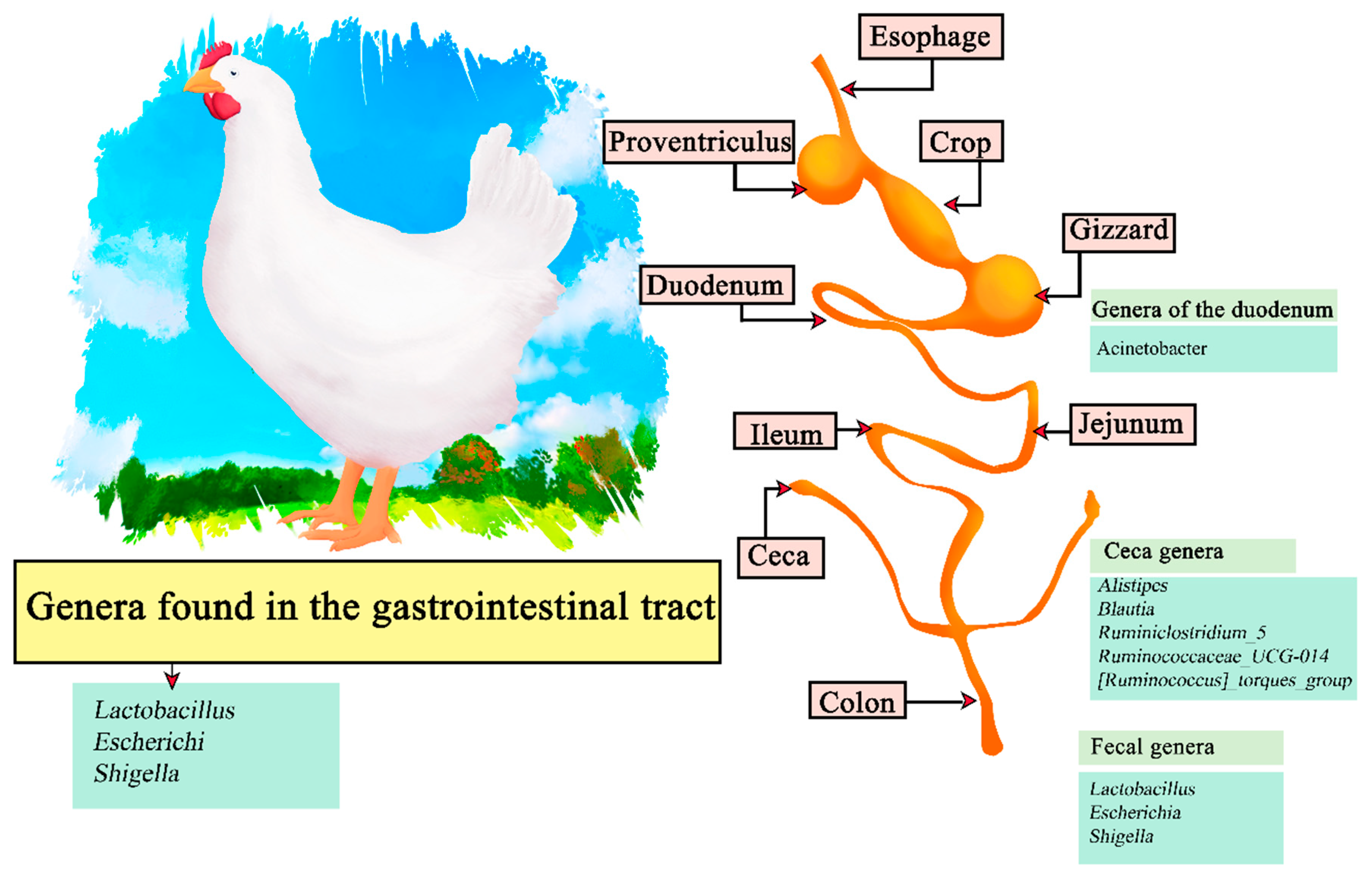 Microorganisms 11 02219 g004