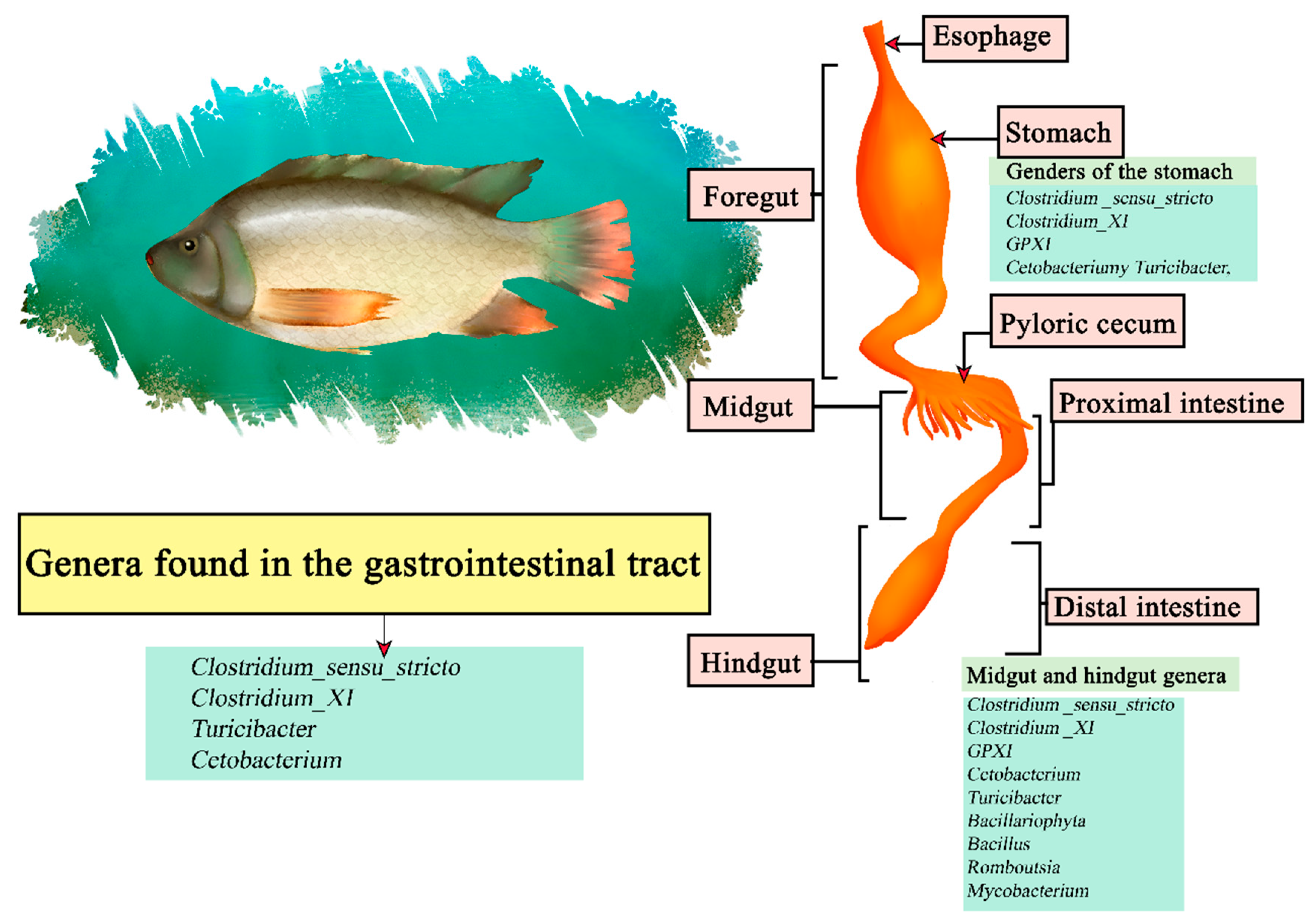 Microorganisms 11 02219 g008