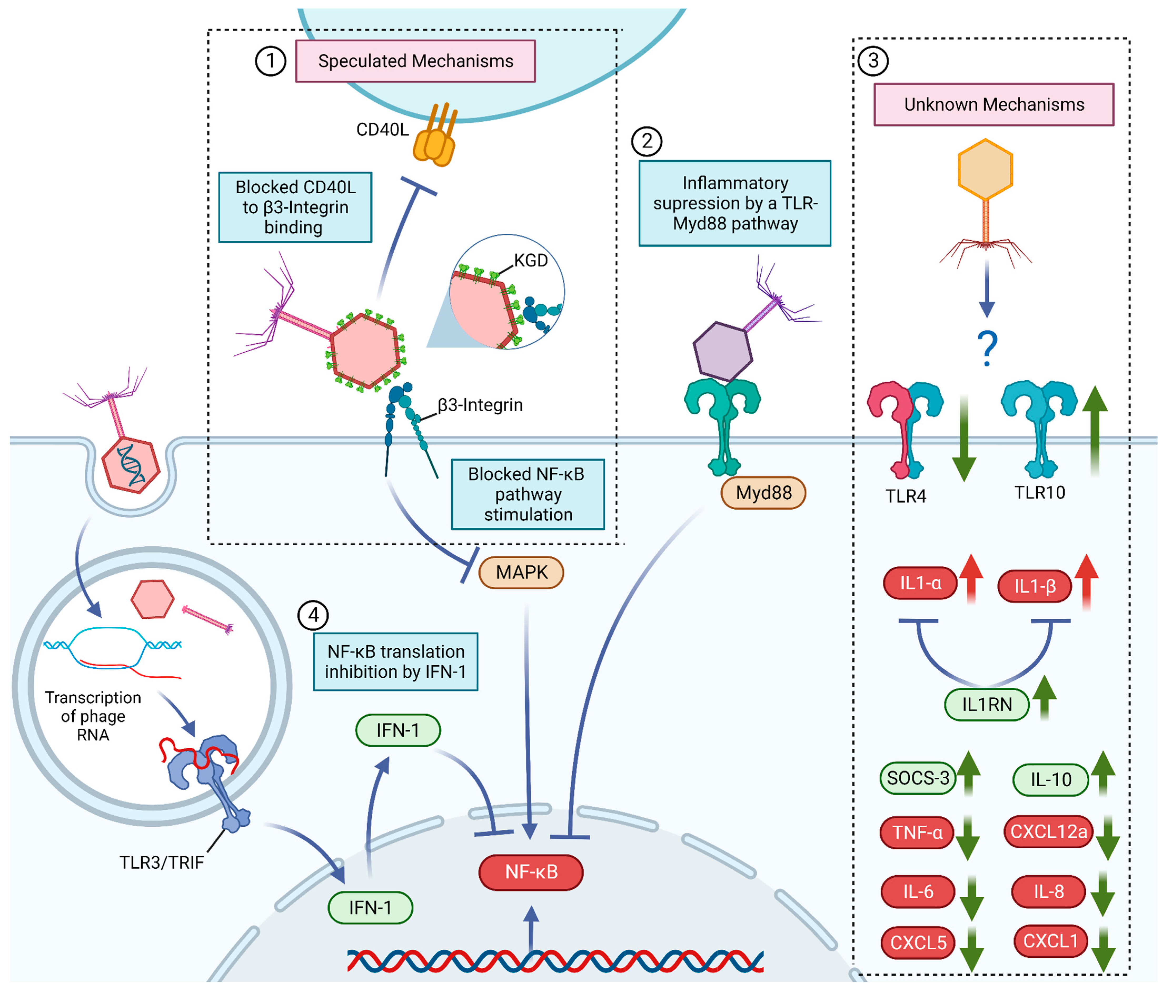 Microorganisms 11 02222 g001