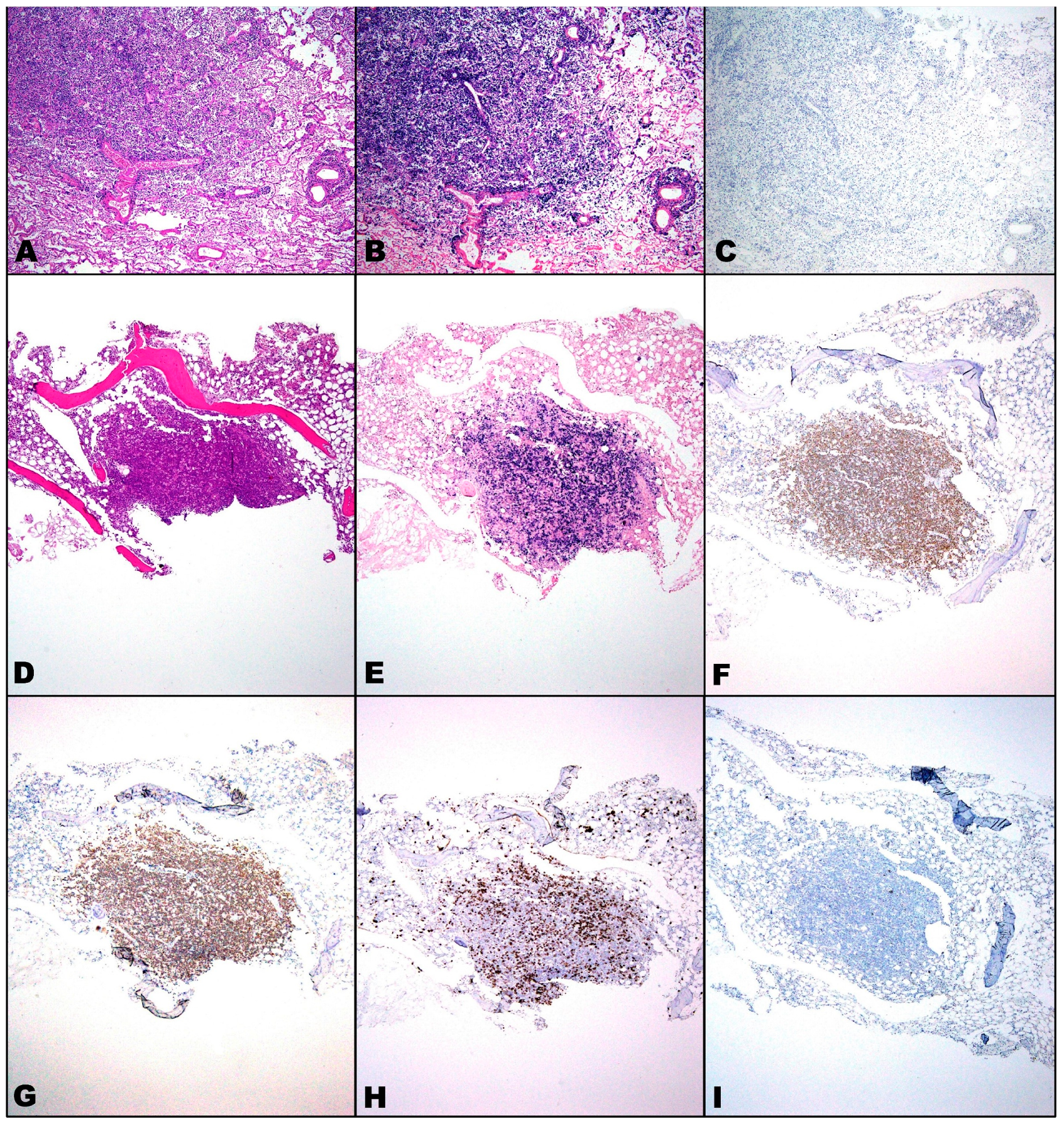 Microorganisms 11 02223 g001