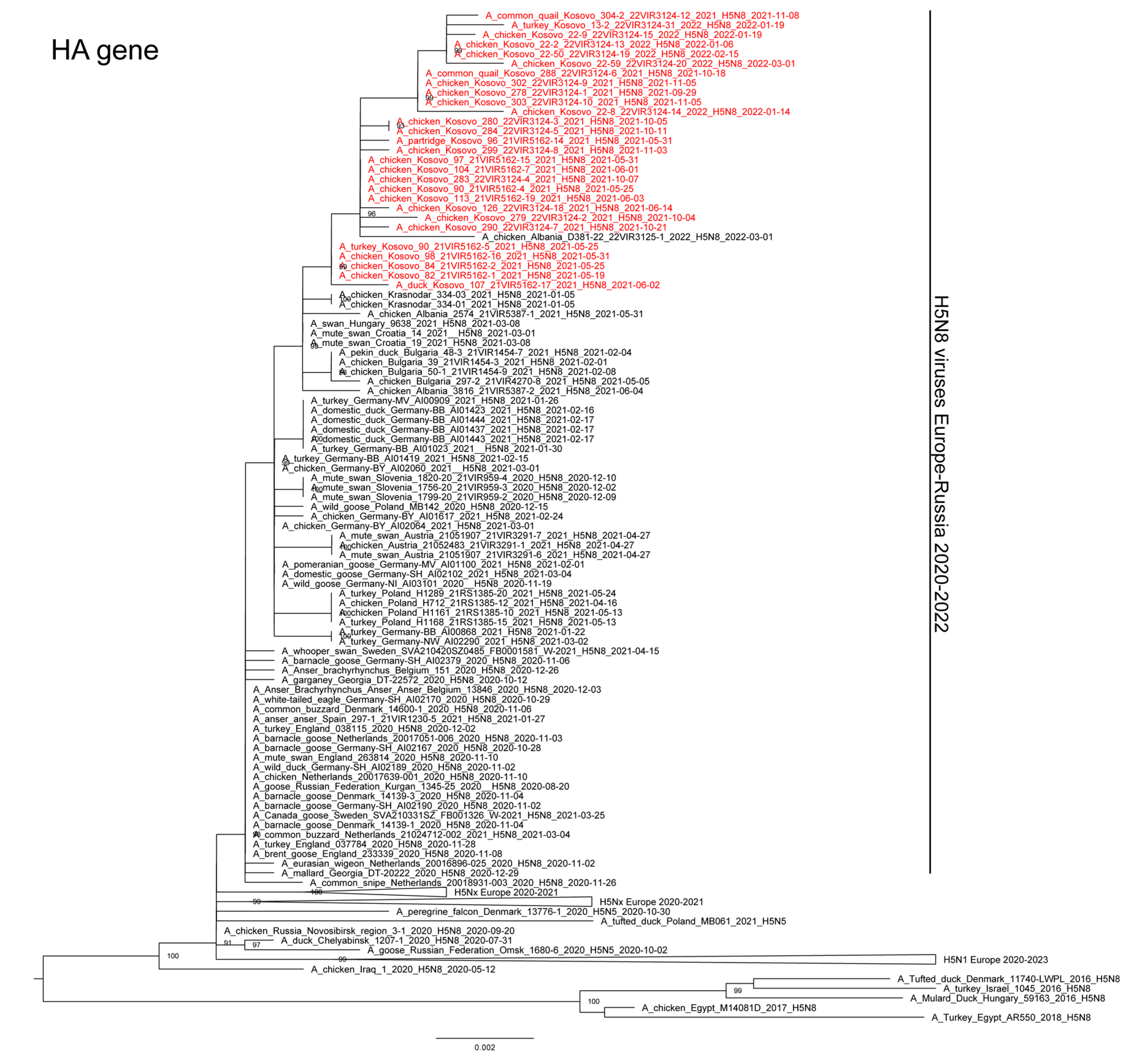 Microorganisms 11 02226 g003
