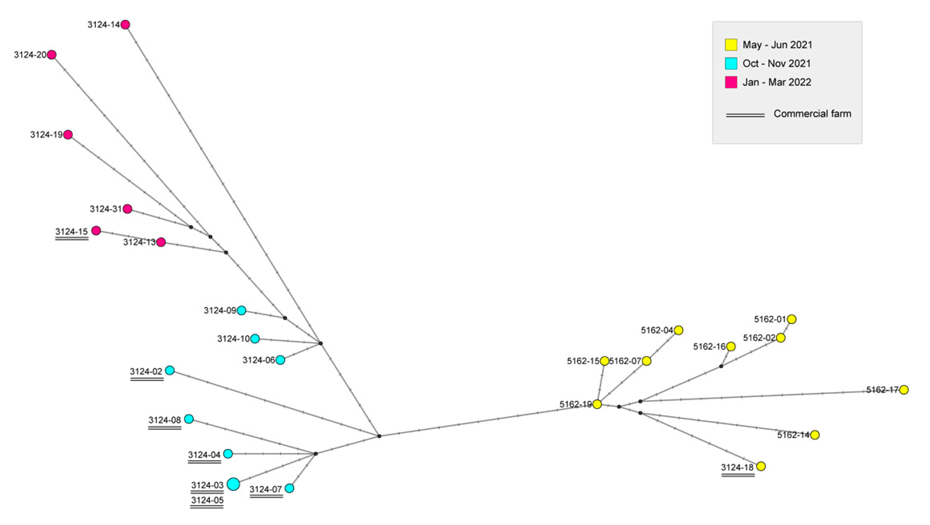 Microorganisms 11 02226 g004