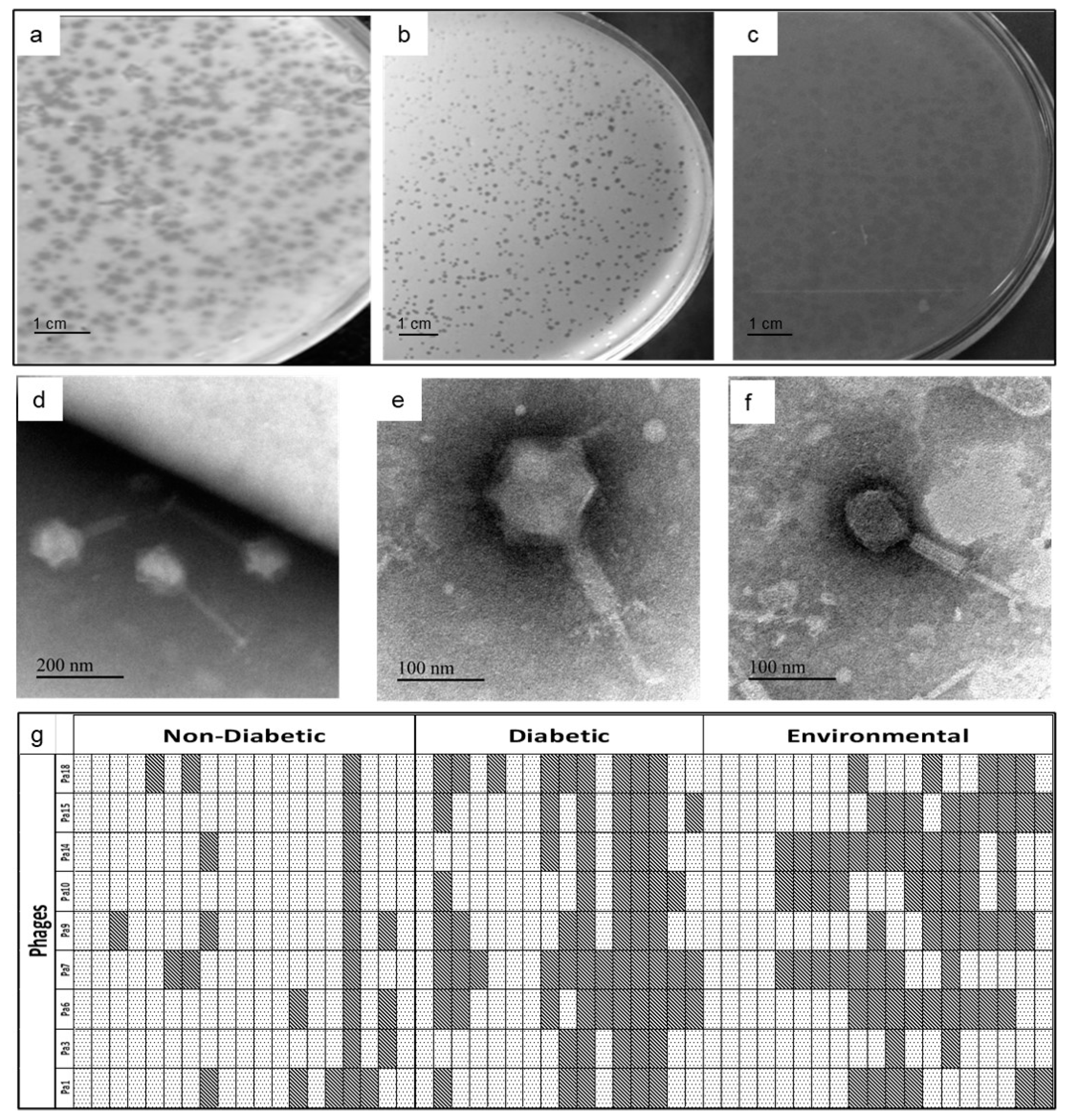 Microorganisms 11 02230 g001