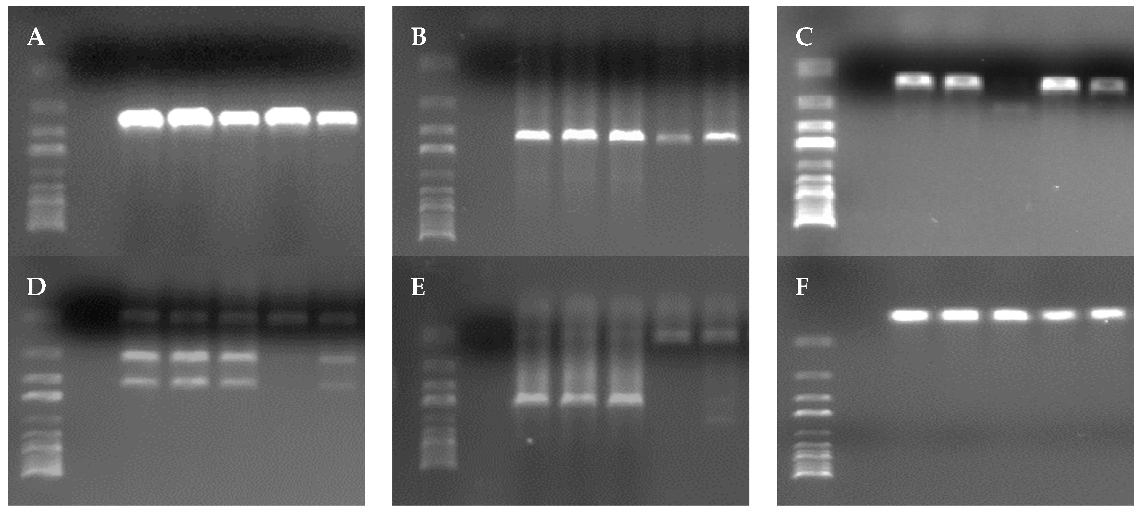 Microorganisms 11 02232 g005 Microorganisms 11 02232 g005