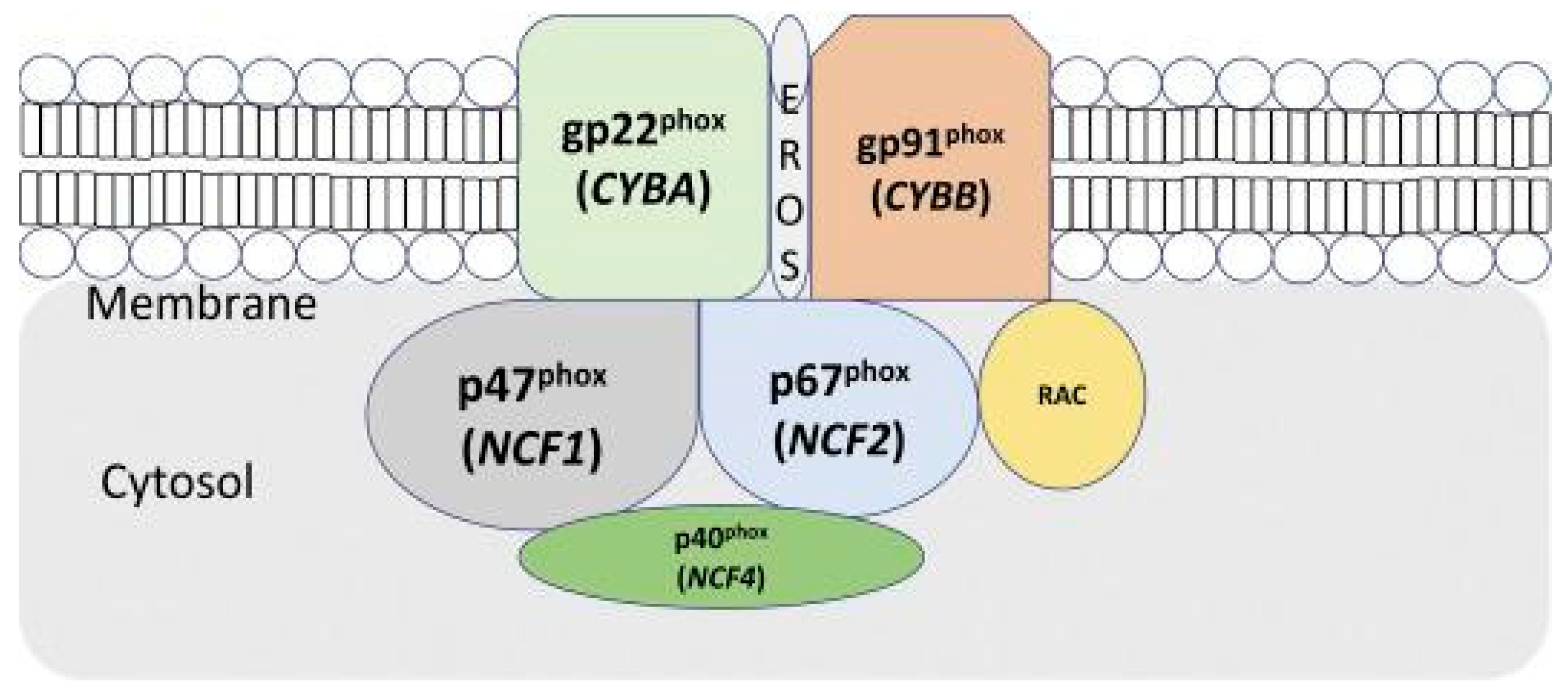 Microorganisms 11 02233 g002