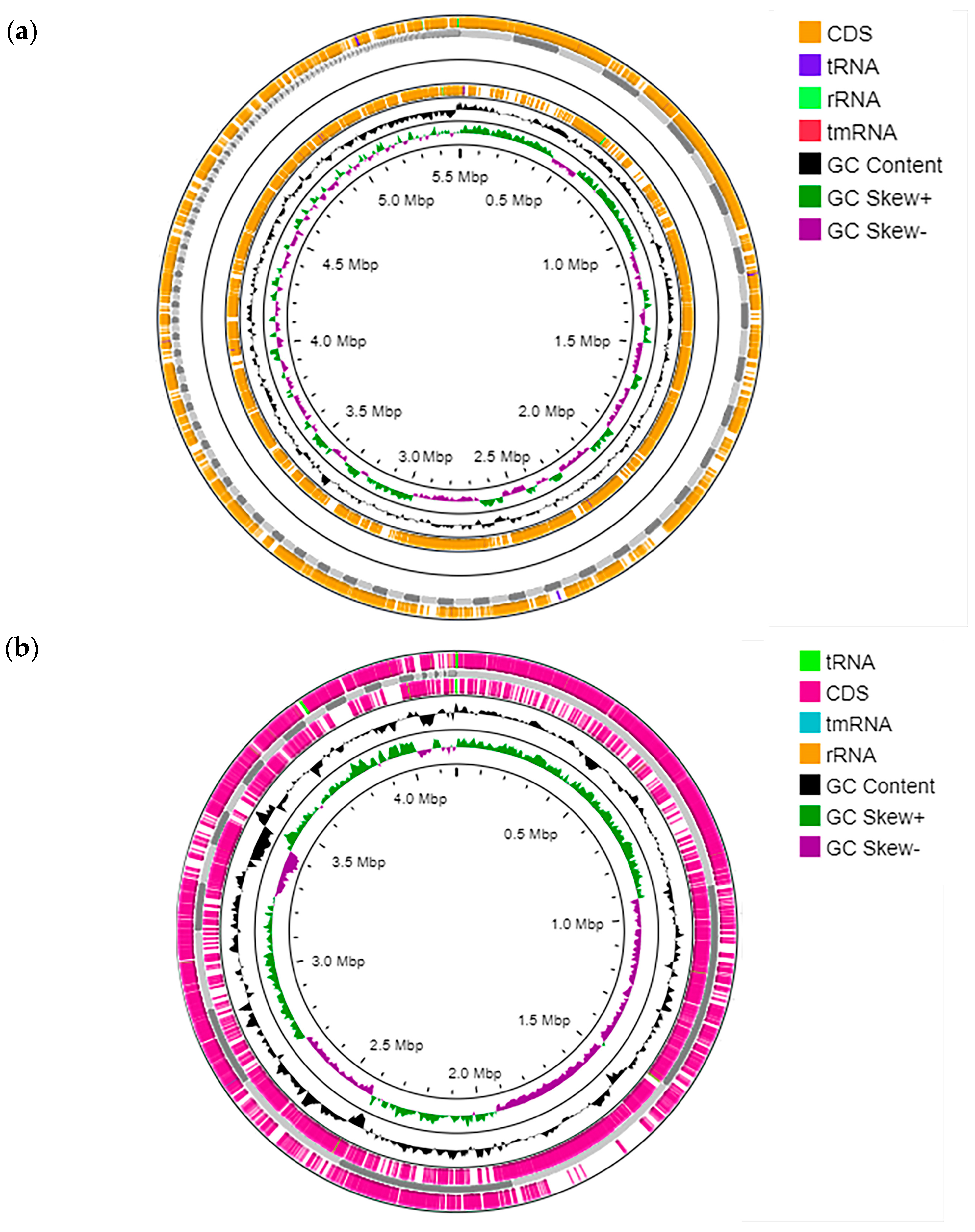 Microorganisms 11 02235 g002