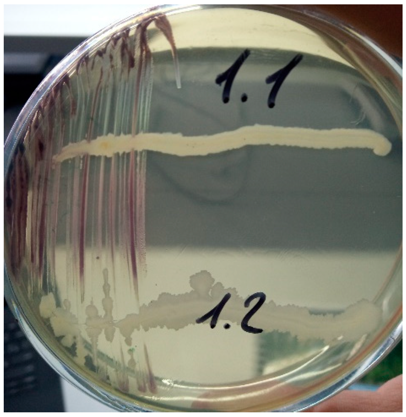 Microorganisms 11 02235 g003