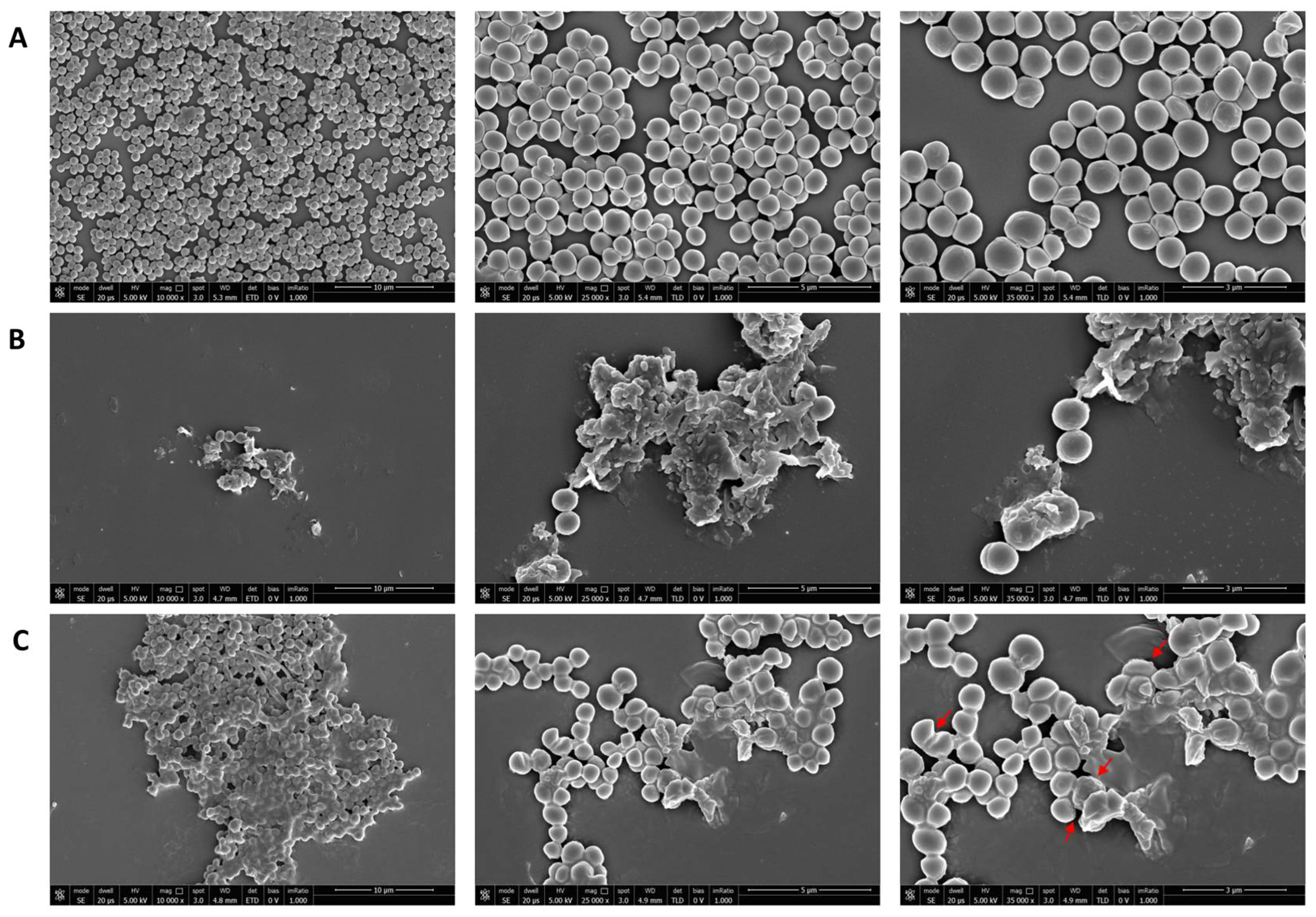 Microorganisms 11 02242 g007