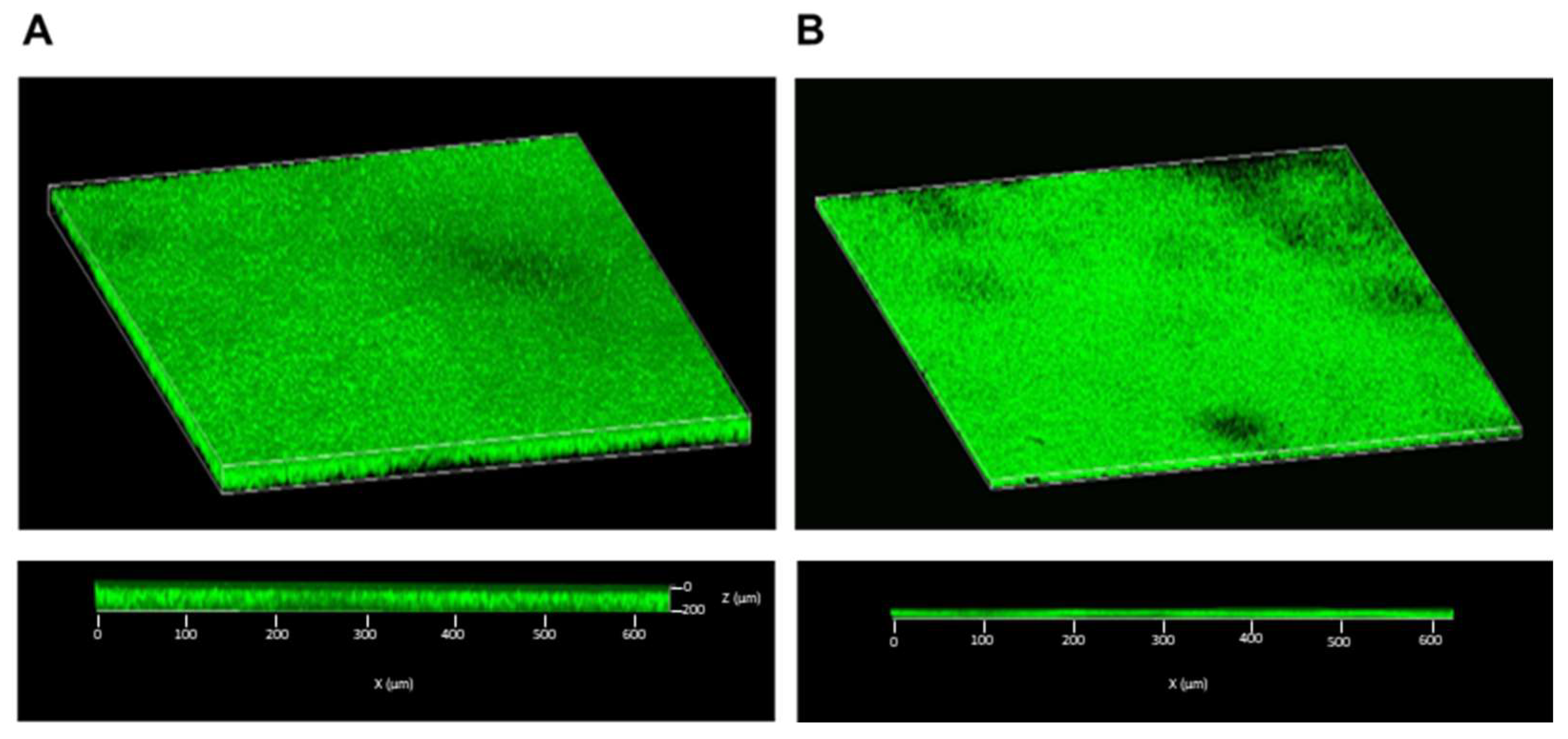 Microorganisms 11 02242 g011